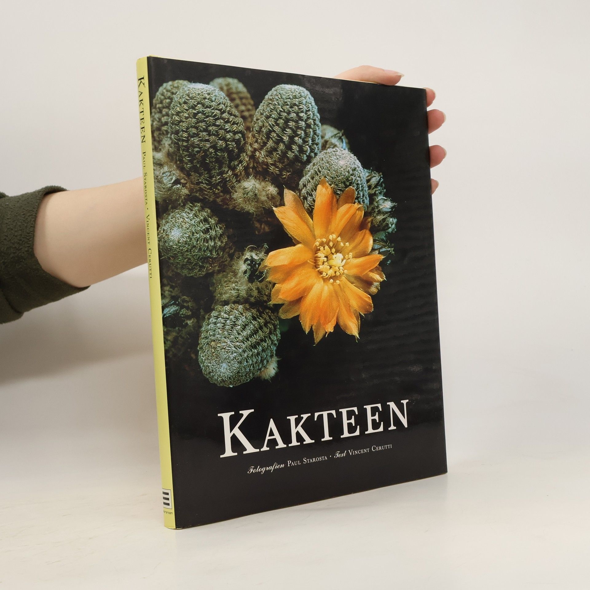 Vincent Cerutti Kakteen