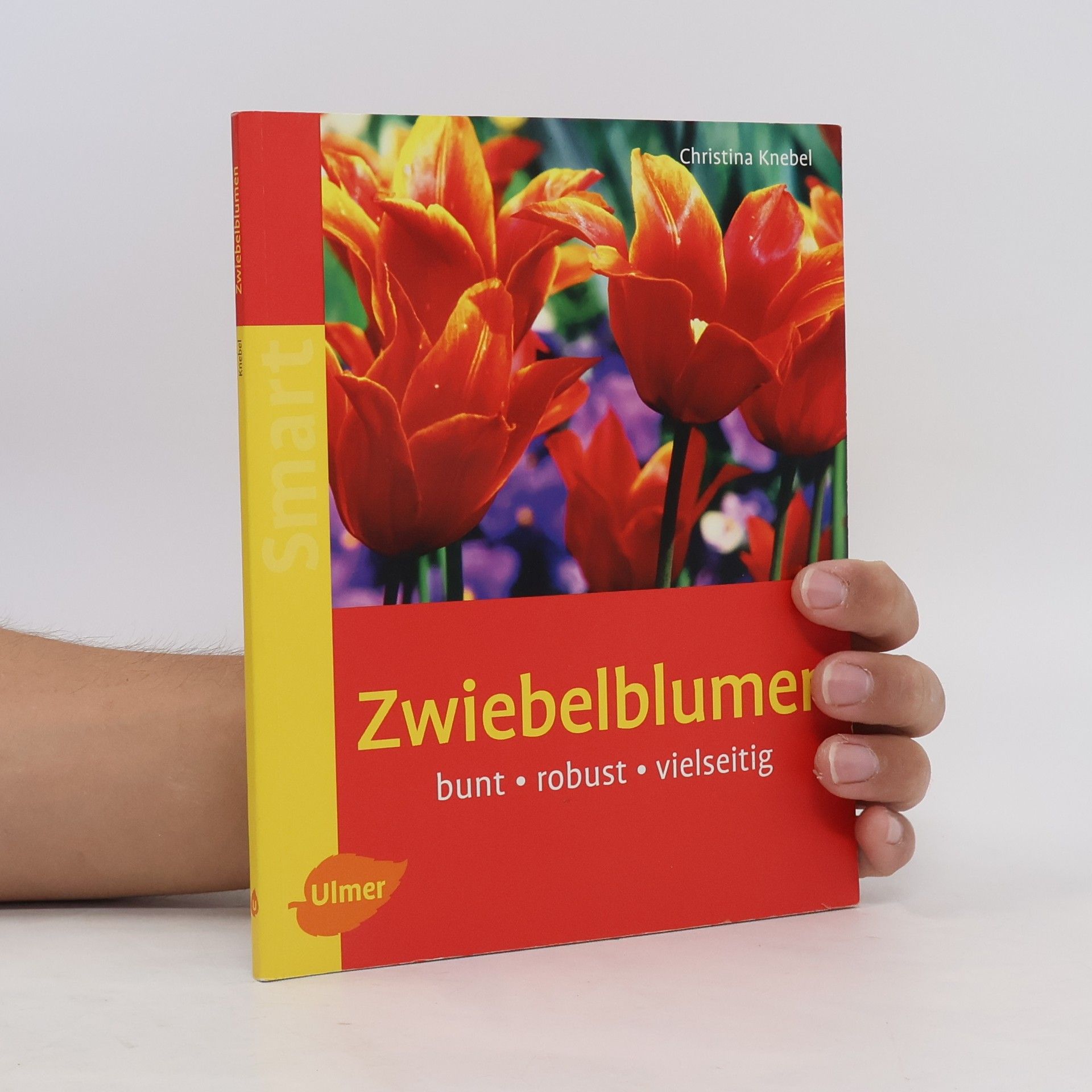 Christina Knebel Zwiebelblumen