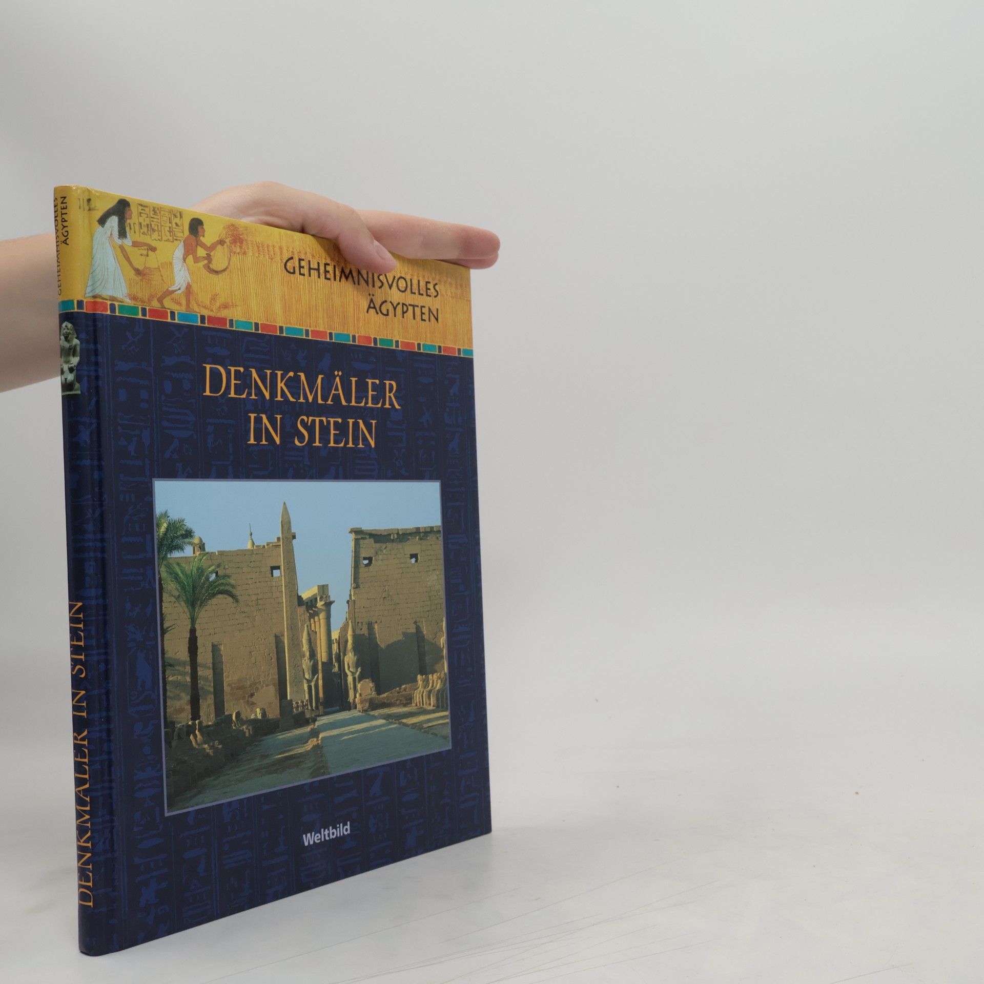 AA.VV. Denkmäler in Stein. Geheimnisvolles Ägypten