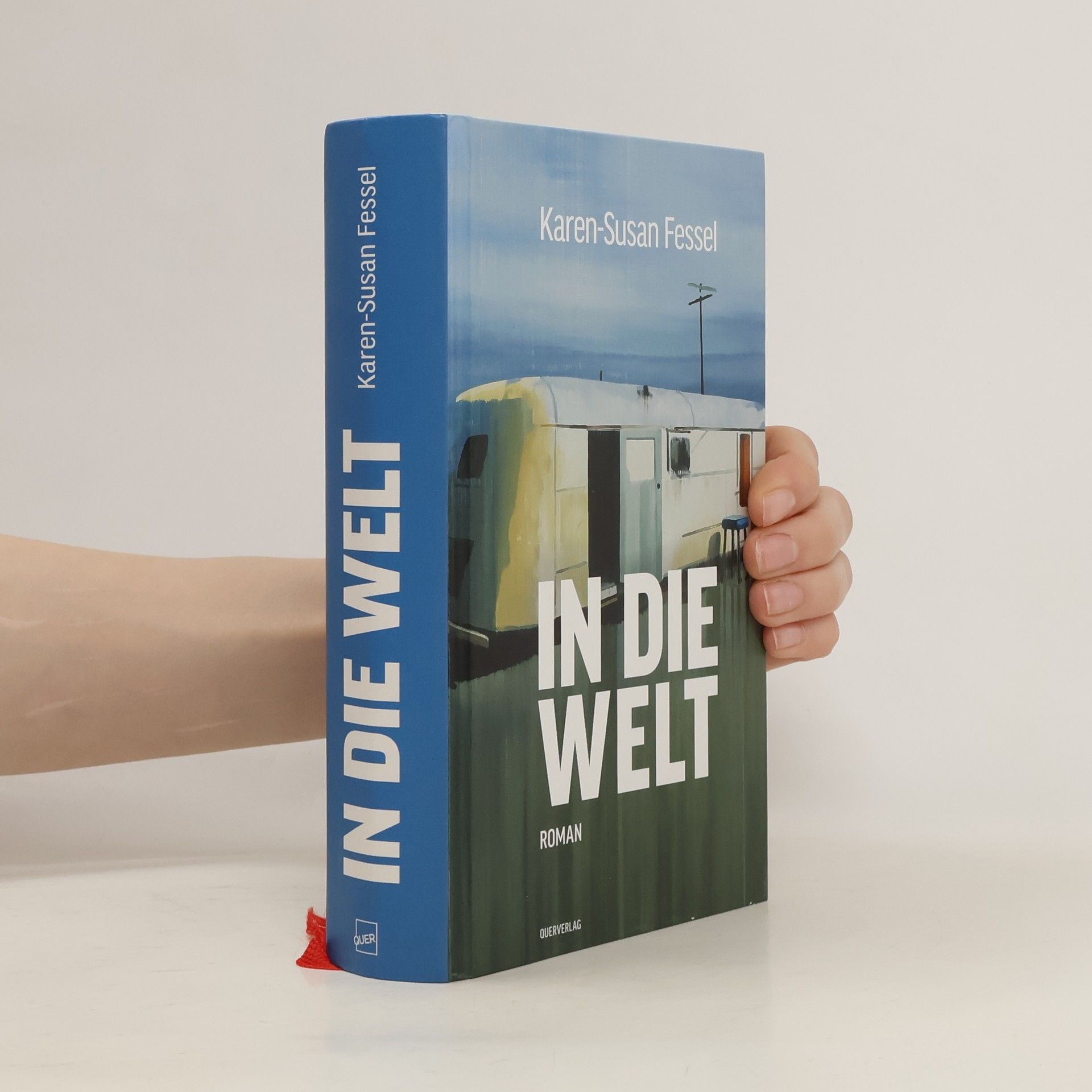 Karen-Susan Fessel In die Welt