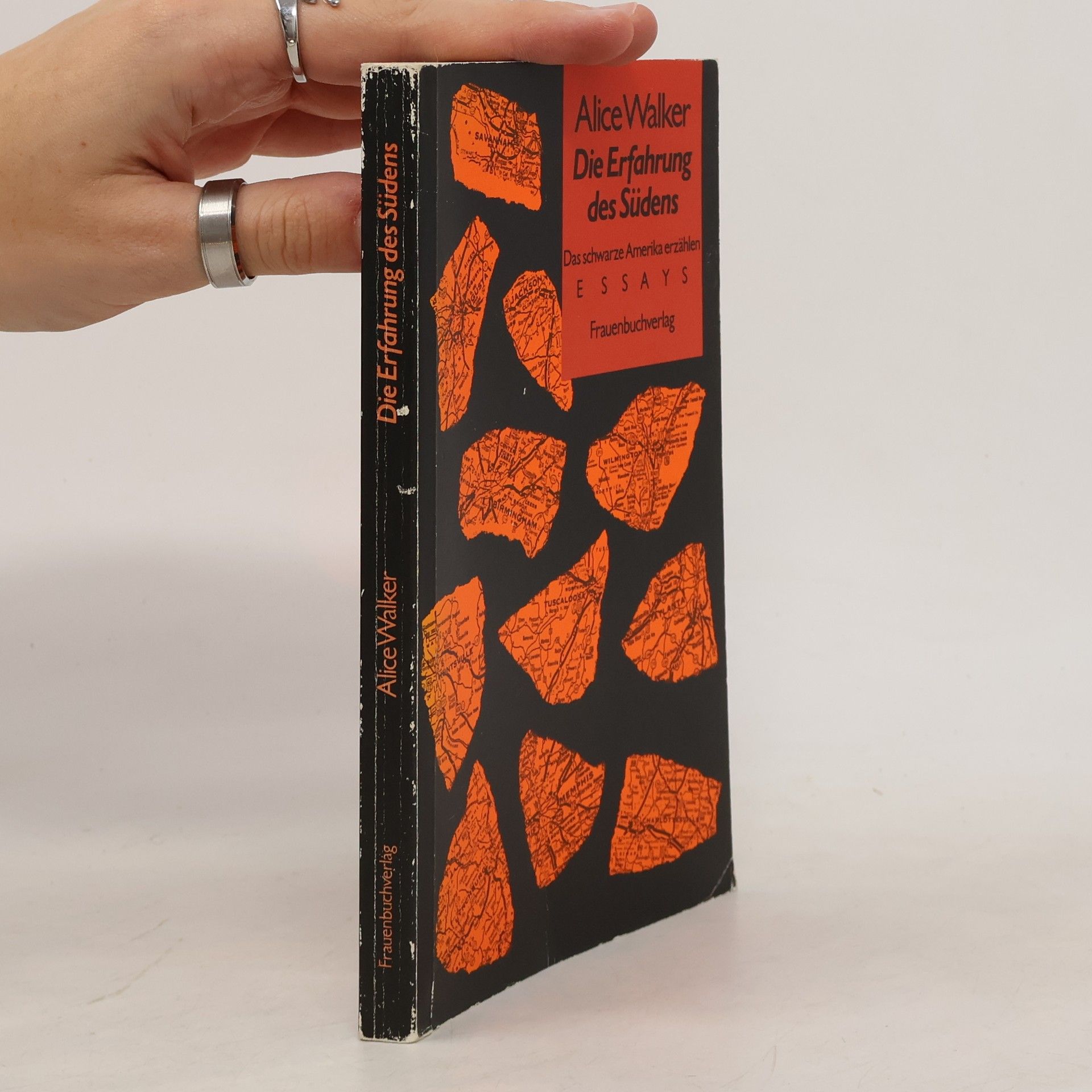 Alice Walker Die Erfahrung des Südens