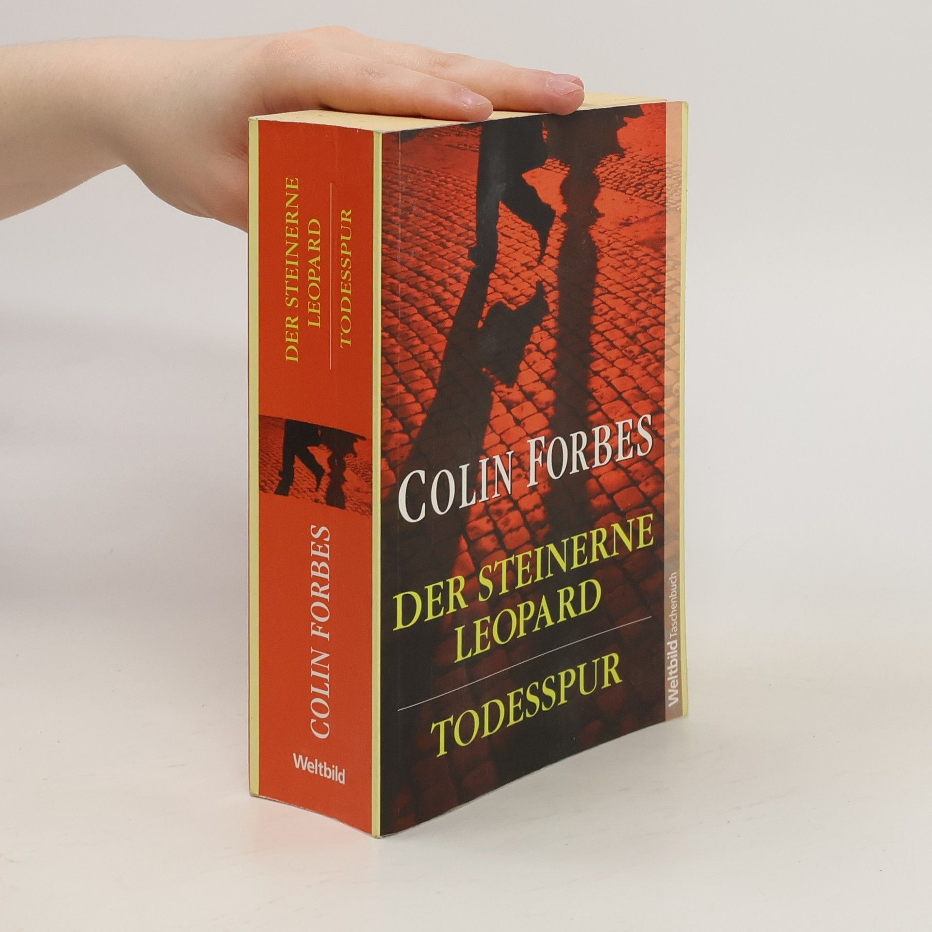 Colin Forbes Der steinerne Leopard
