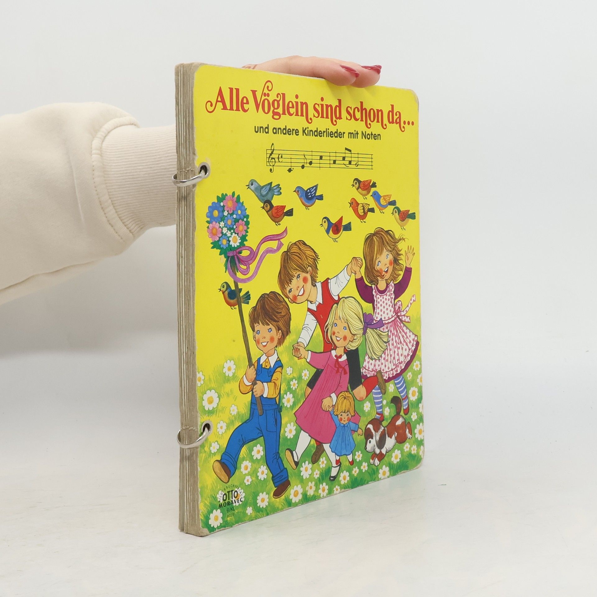 kolektiv Alle Vöglein sind schon da. Und andere Kinderleider mit Noten