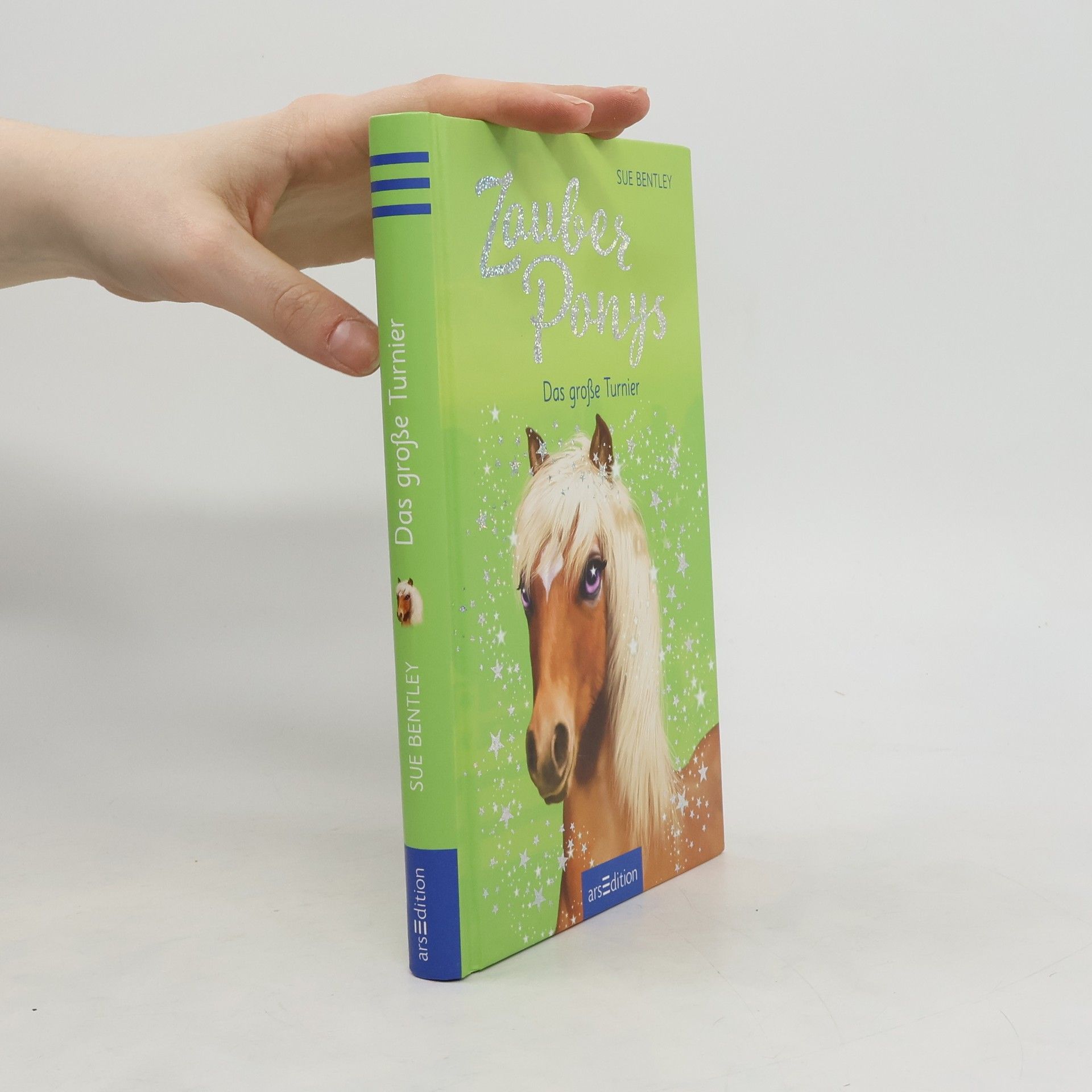 Sue Bentley Zauberponys - das große Turnier
