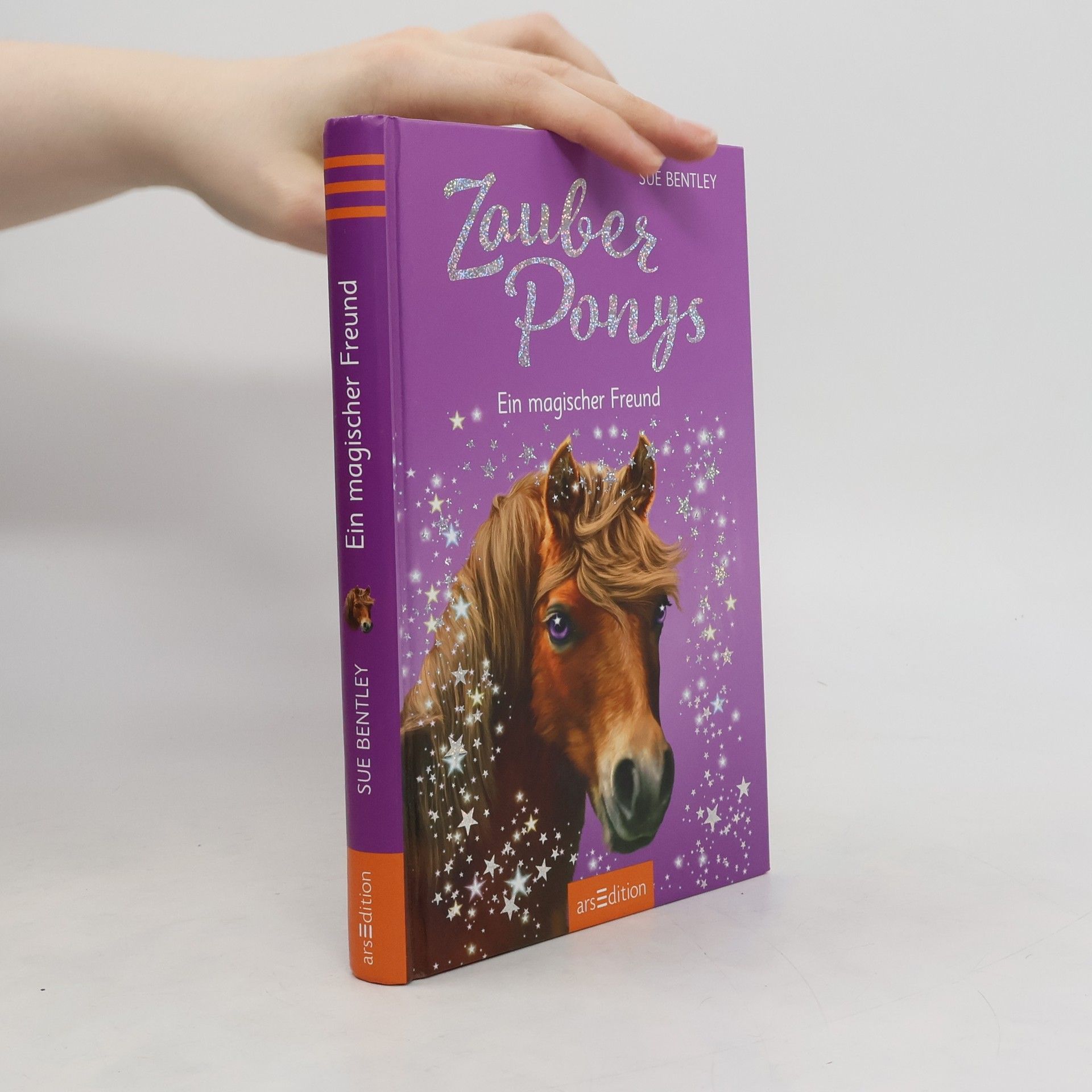 Sue Bentley Zauberponys - ein magischer Freund