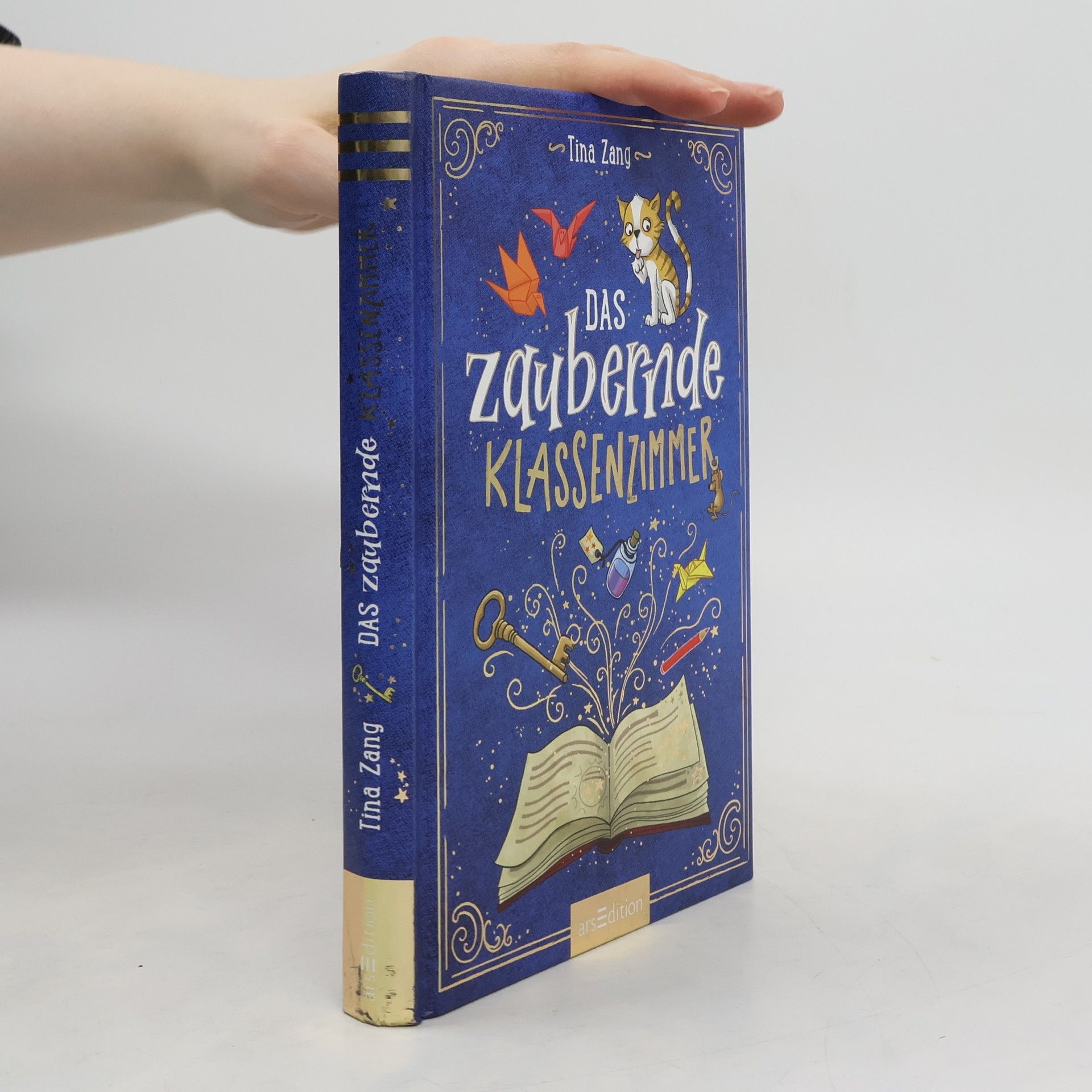 Tina Zang Das zaubernde Klassenzimmer (Das zaubernde Klassenzimmer 1)