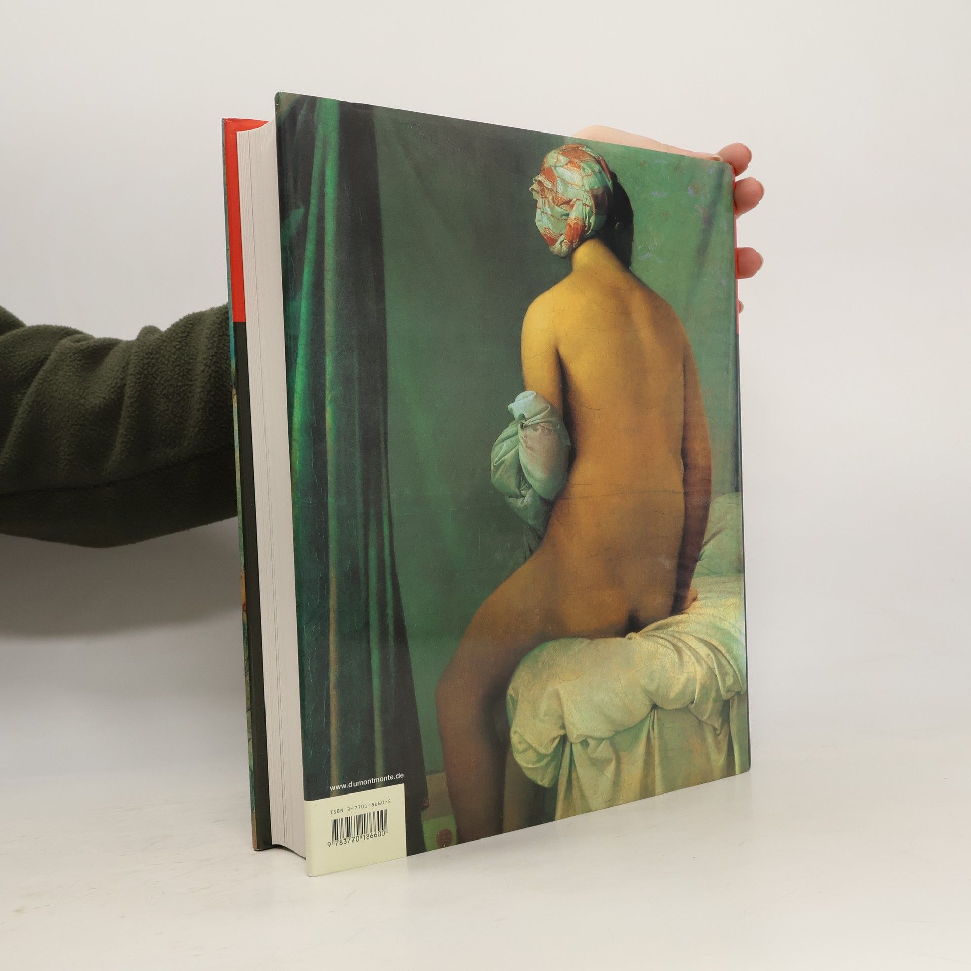 Lawrence Gowing Die Gemäldesammlung des Louvre