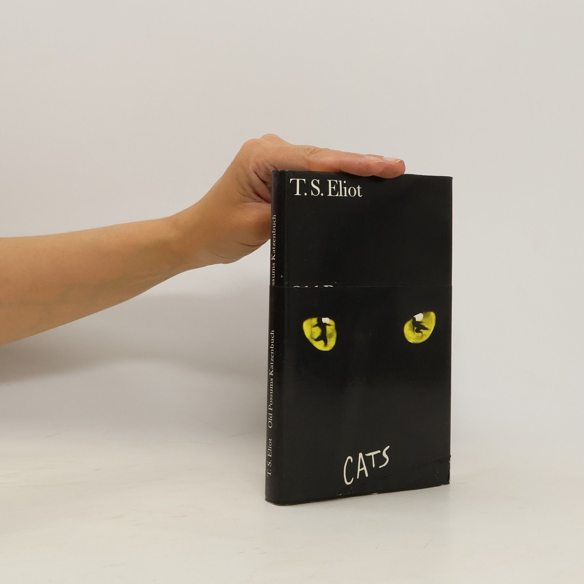 T. S. Eliot Old Possums Katzenbuch