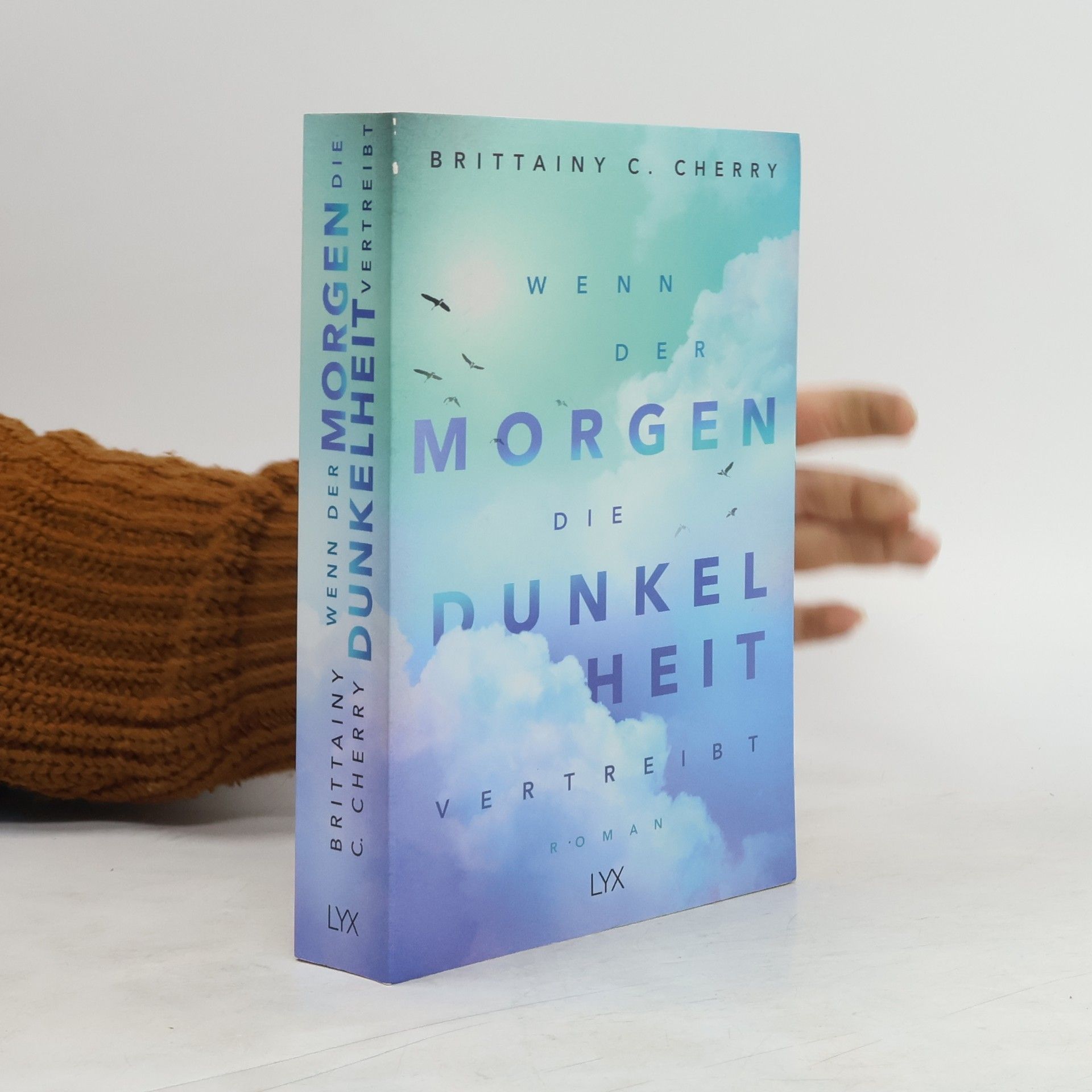 Brittainy C. Cherry Wenn der Morgen die Dunkelheit vertreibt