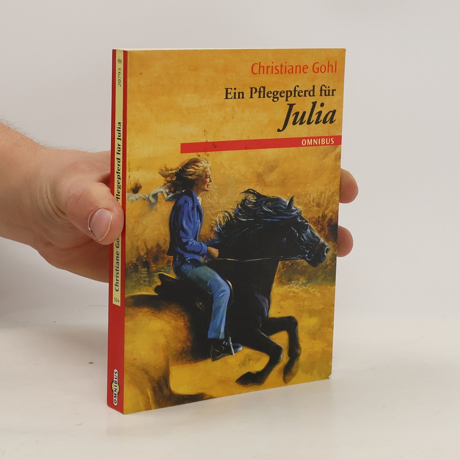 Christiane Gohl Ein Pflegepferd für Julia