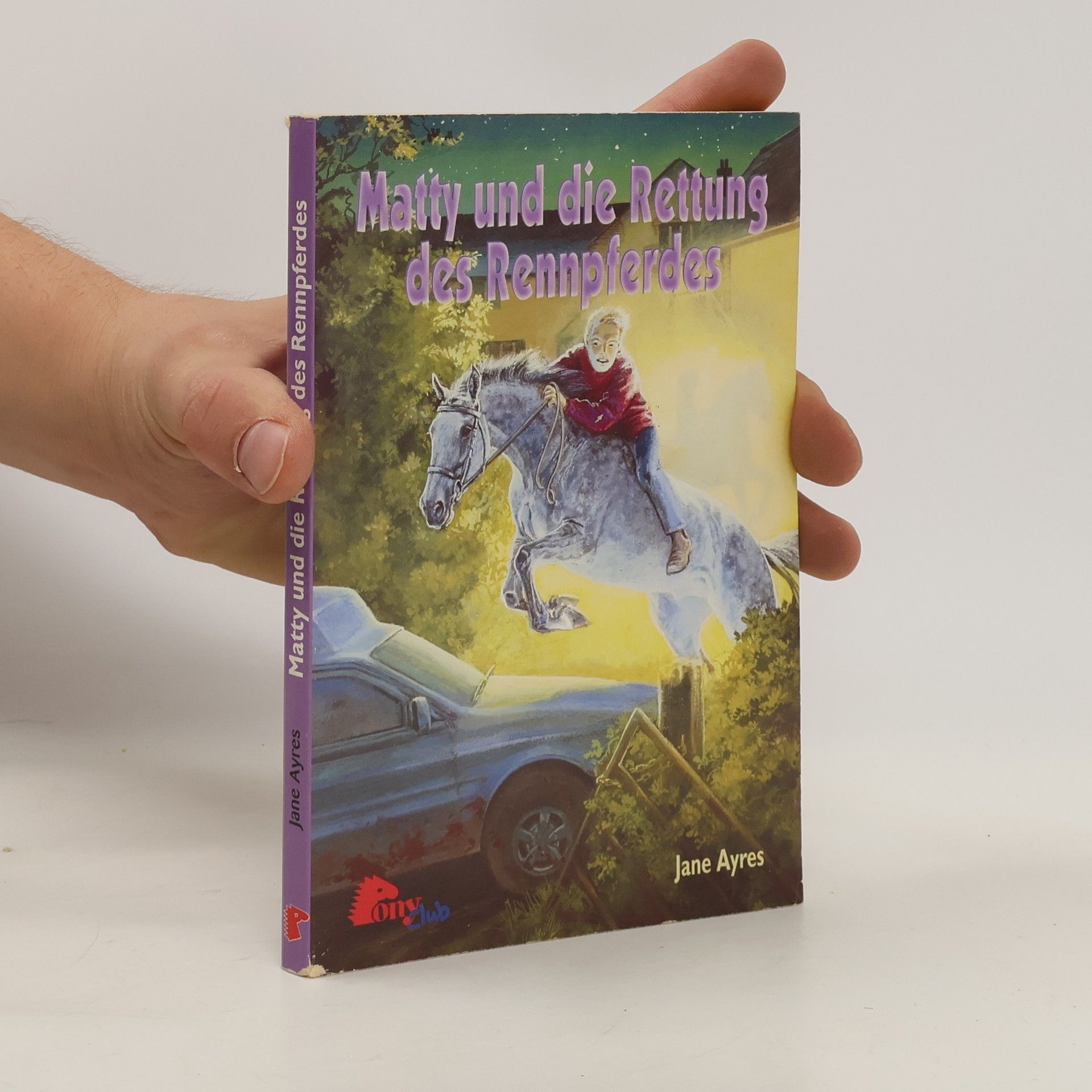 Jane Ayres Matty und die Rettung des Rennpferdes