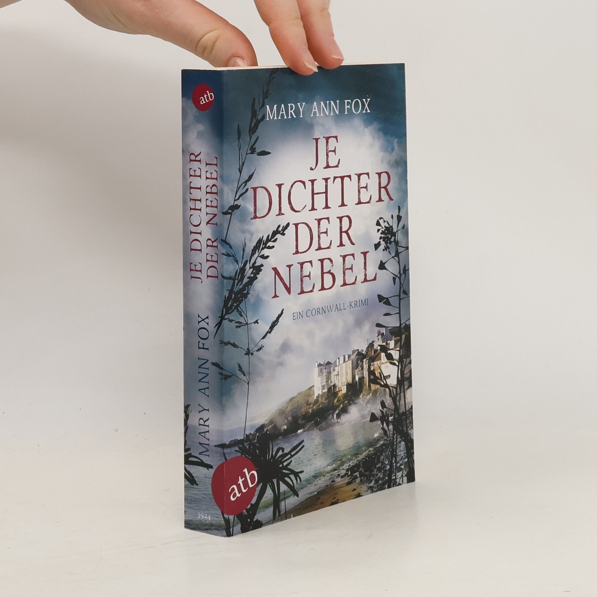 Mary Ann Fox Je dichter der Nebel