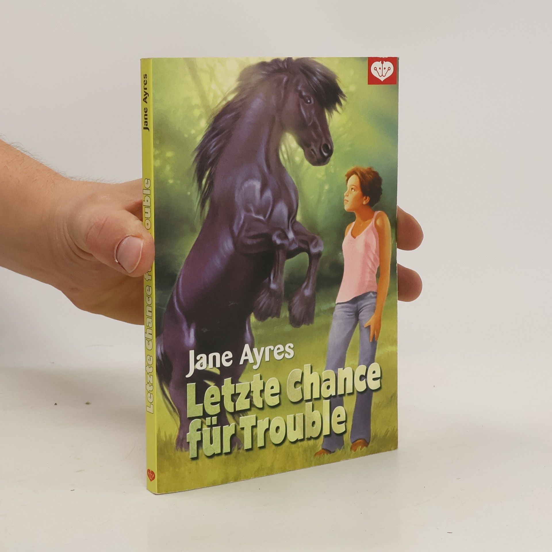 Jane Ayres Letzte Chance für Trouble