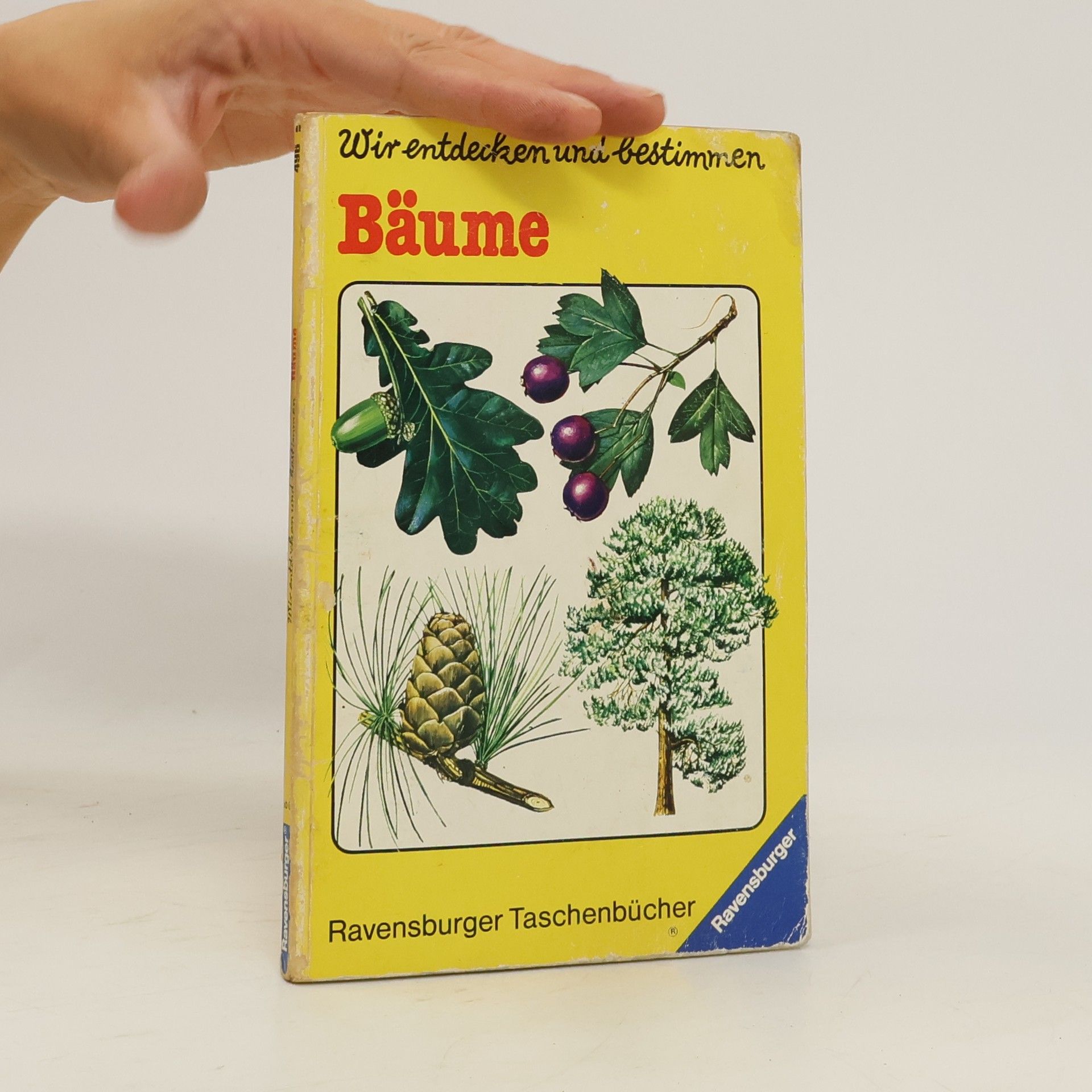 Esmond Harris Wir entdecken und bestimmen. Bäume
