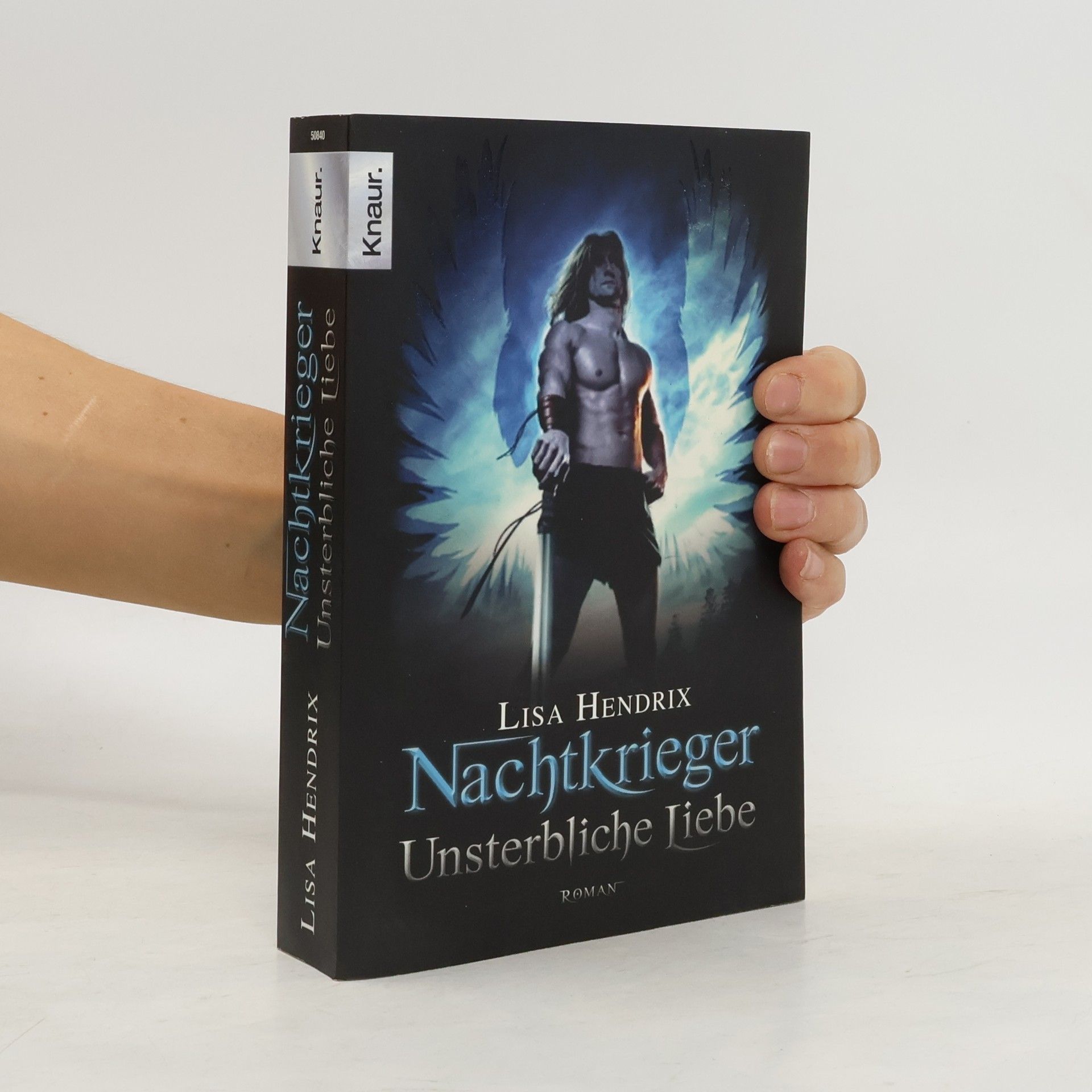 Lisa Hendrix Nachtkrieger 1