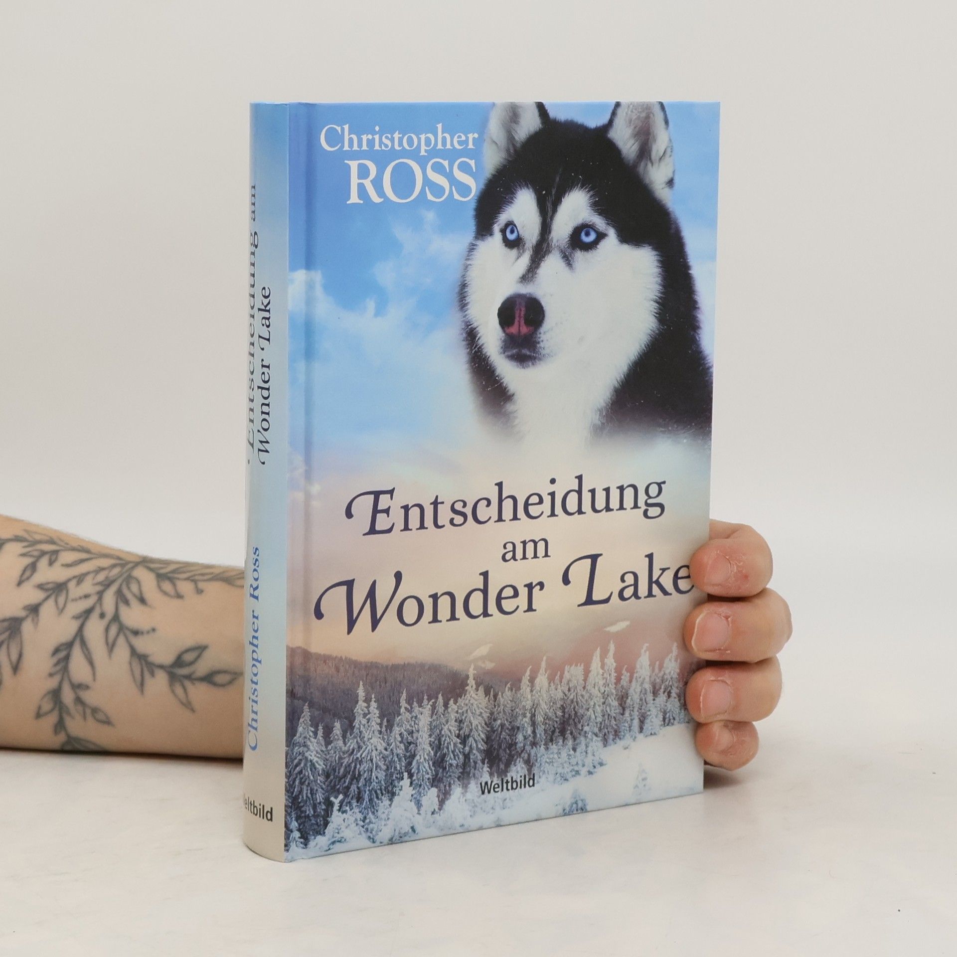Christopher Ross Entscheidung am Wonder Lake