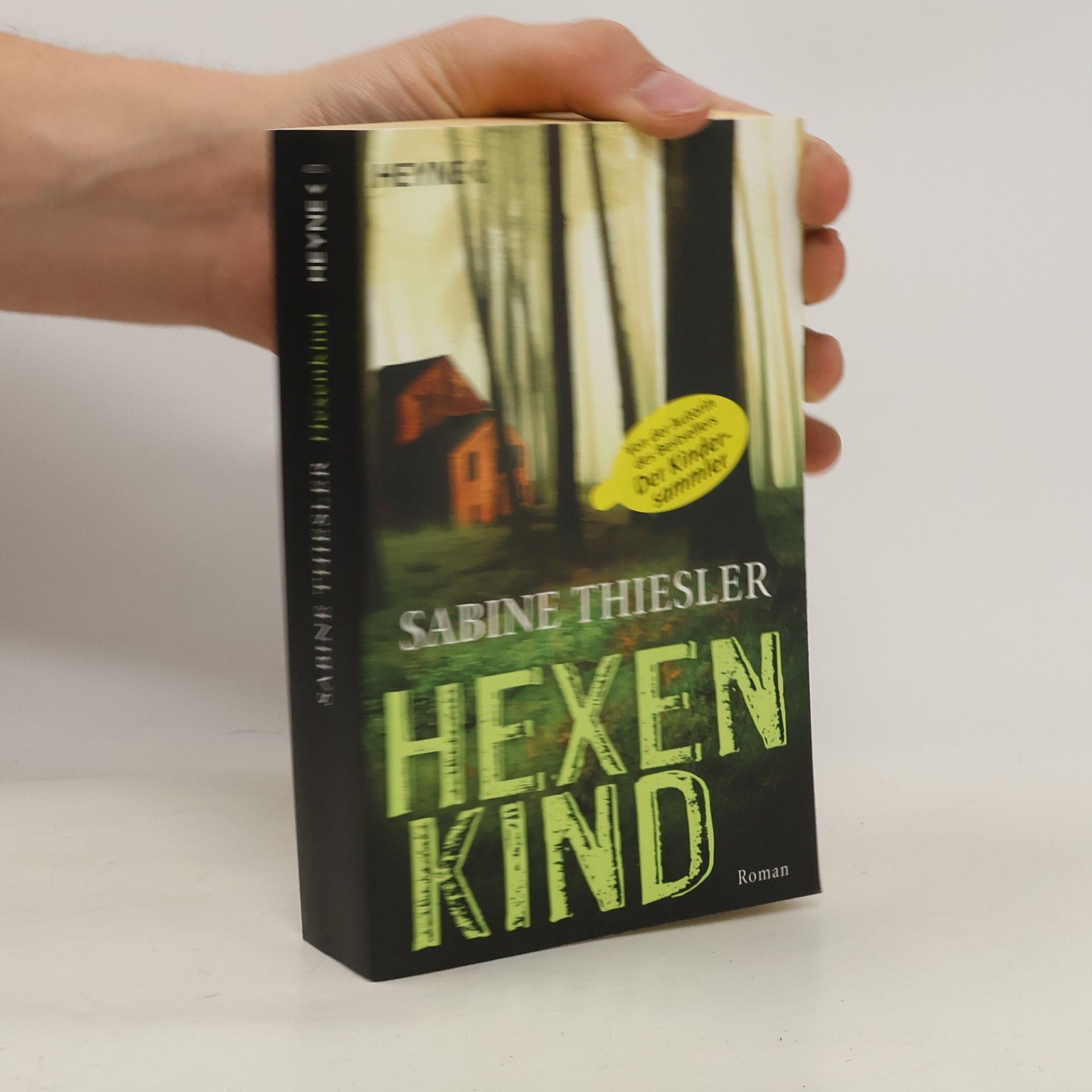 Sabine Thiesler Hexenkind - Roman