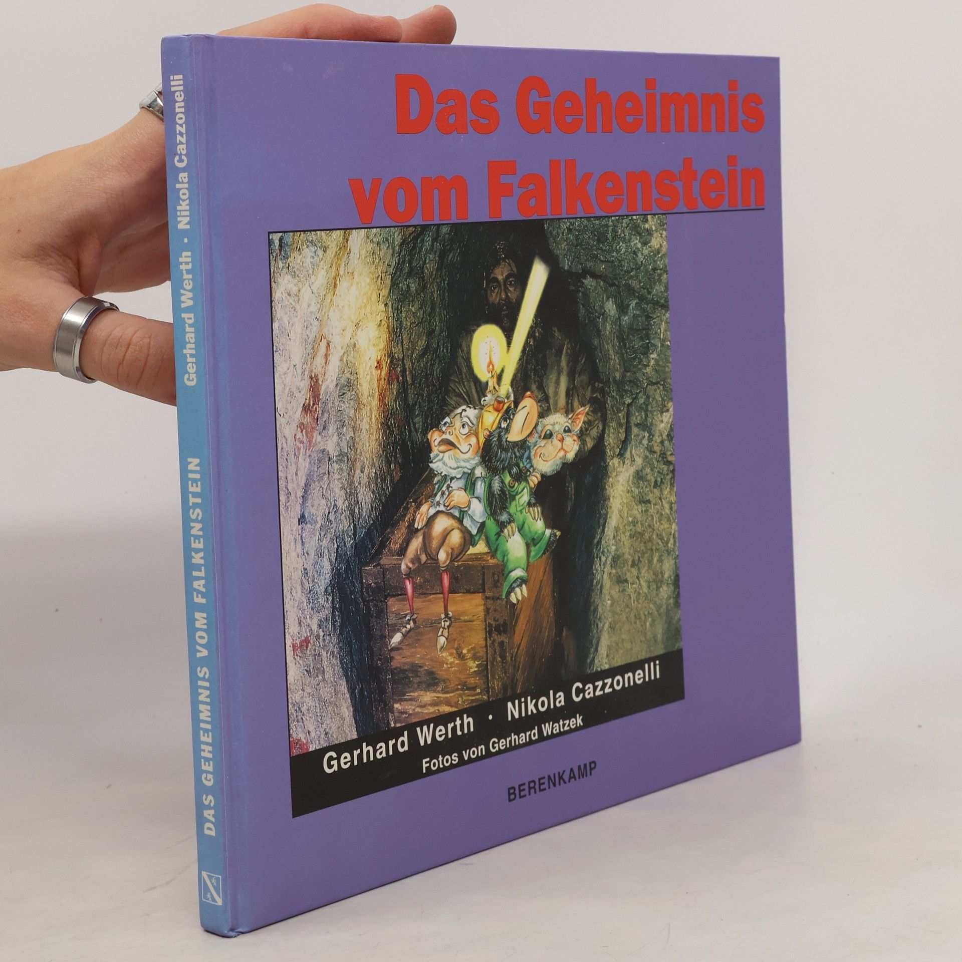 Gerhard Werth Das Geheimnis vom Falkenstein