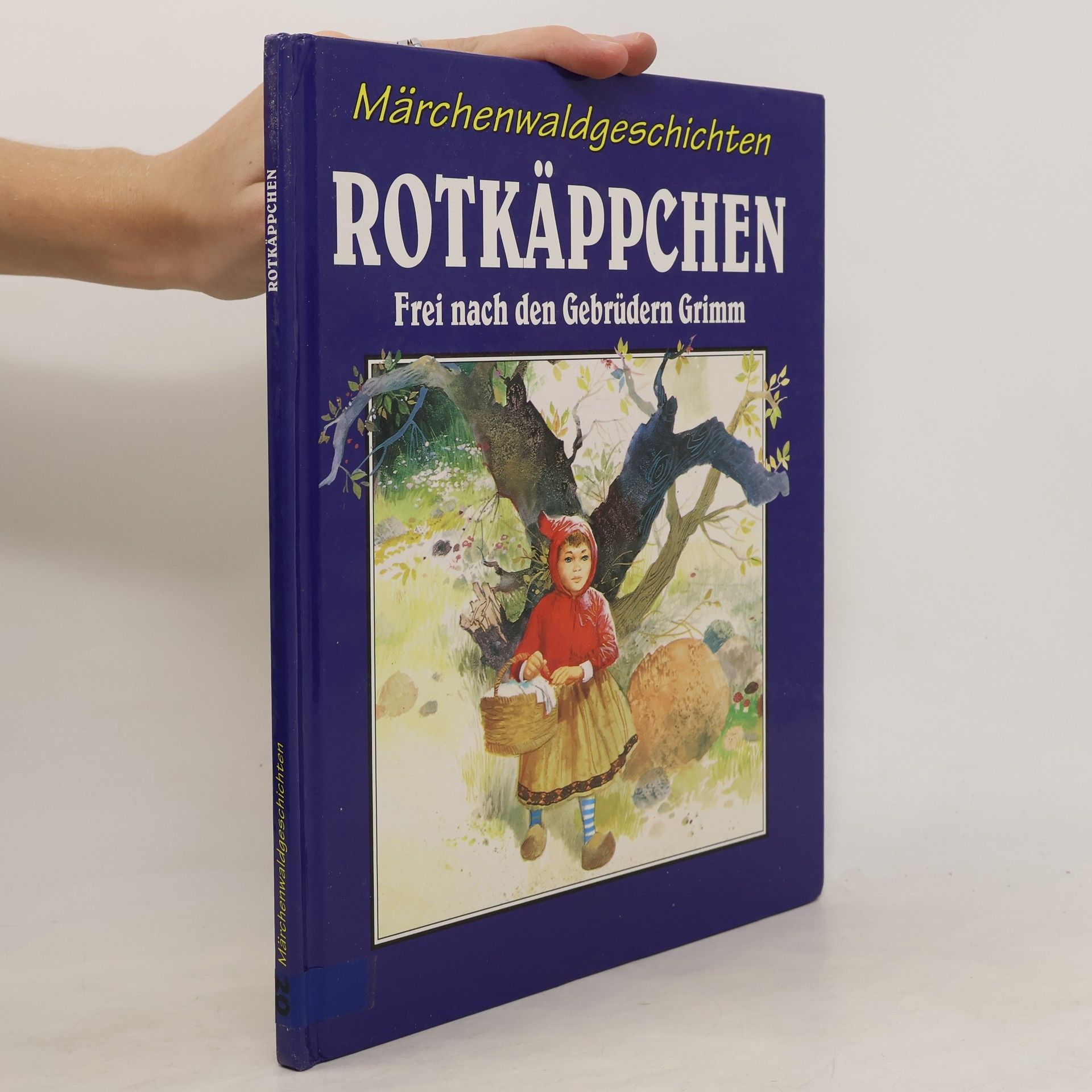 kolektiv  Märchenwaldgeschichten. Rotkäppchen