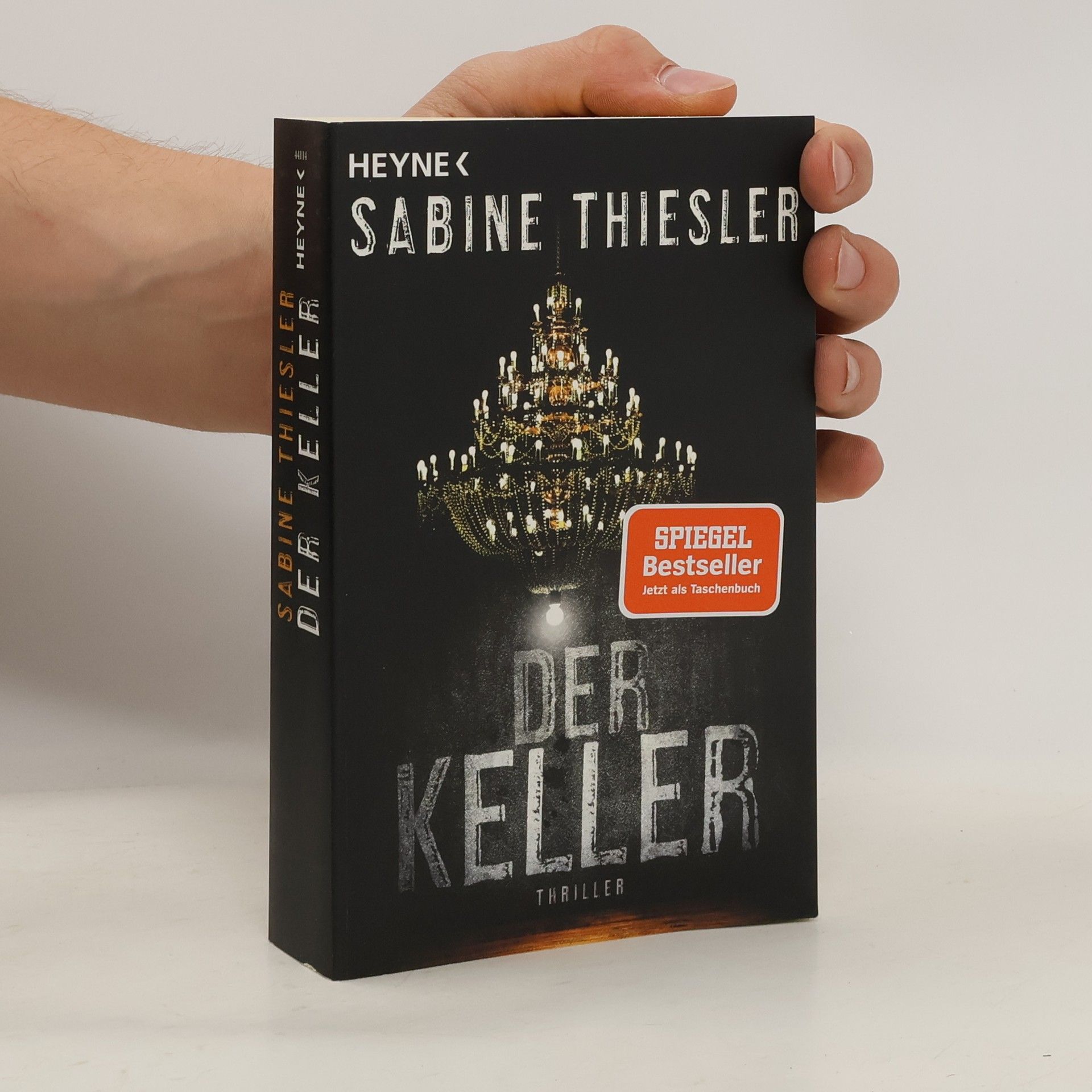 Sabine Thiesler Der Keller
