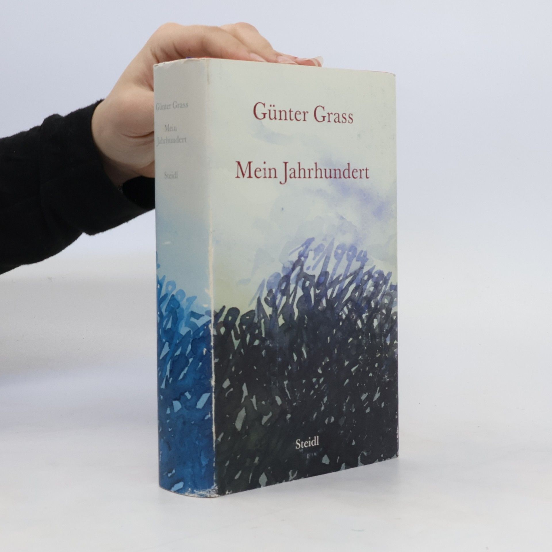 Günter Grass Mein Jahrhundert