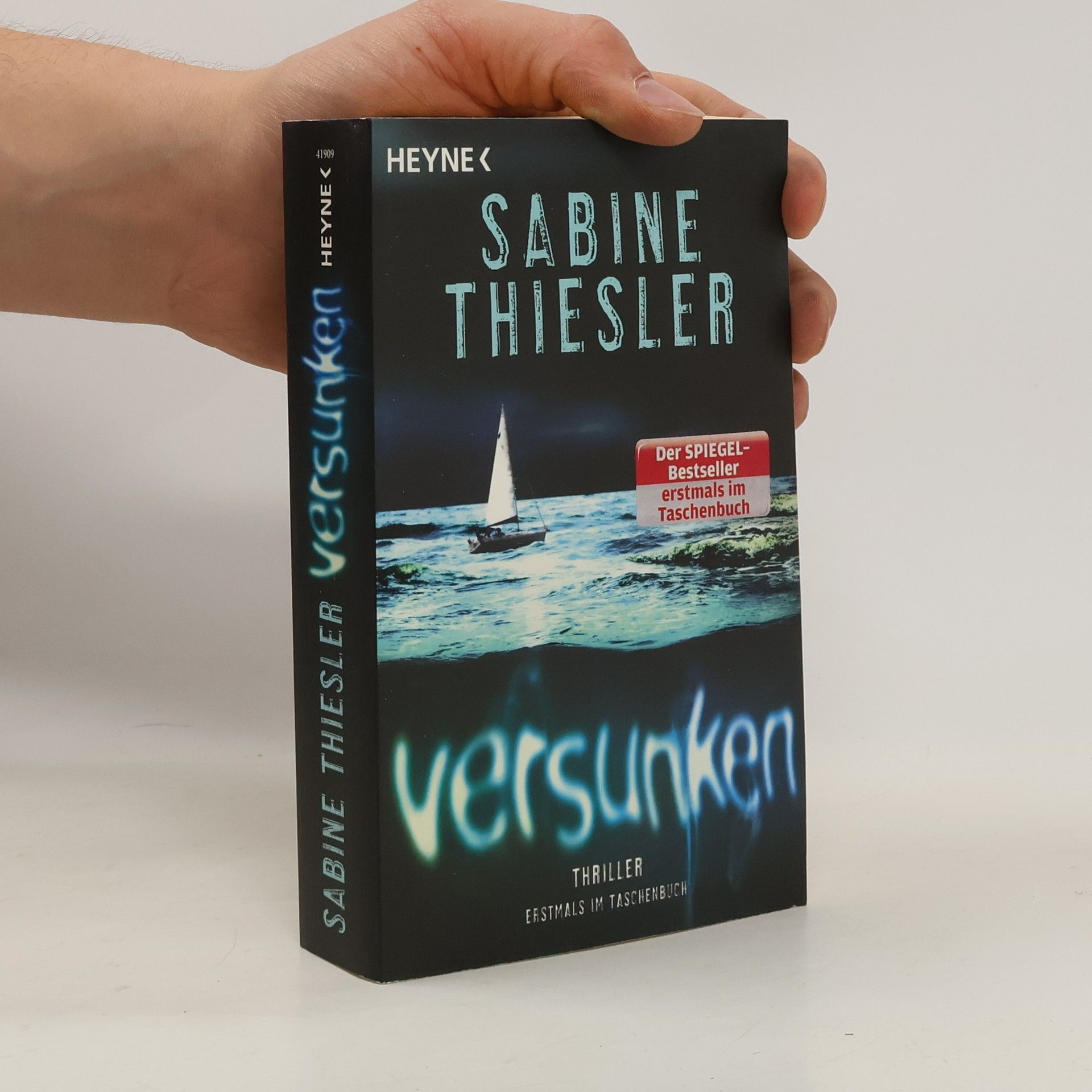 Sabine Thiesler Versunken