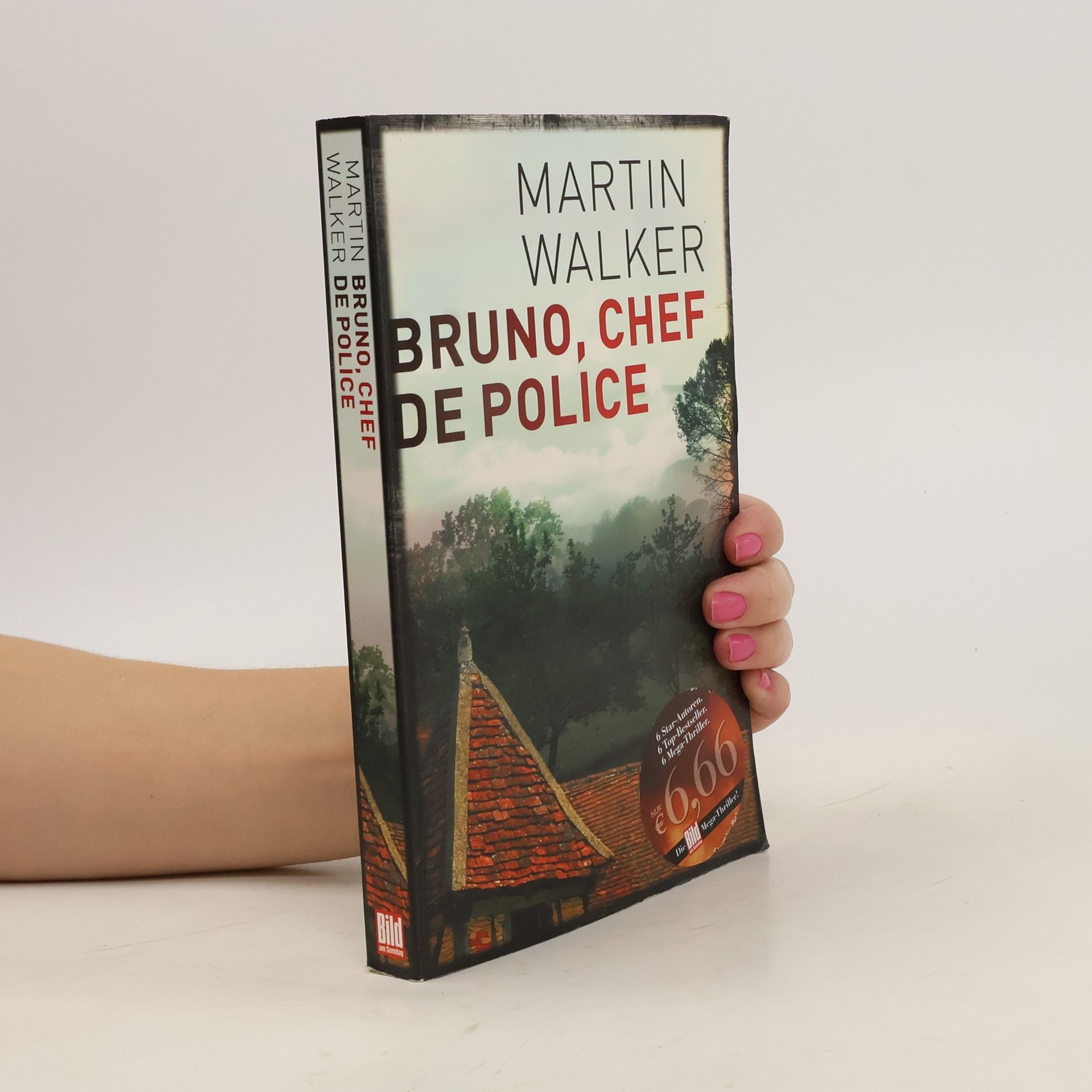 Martin Walker Bruno, Chef de police