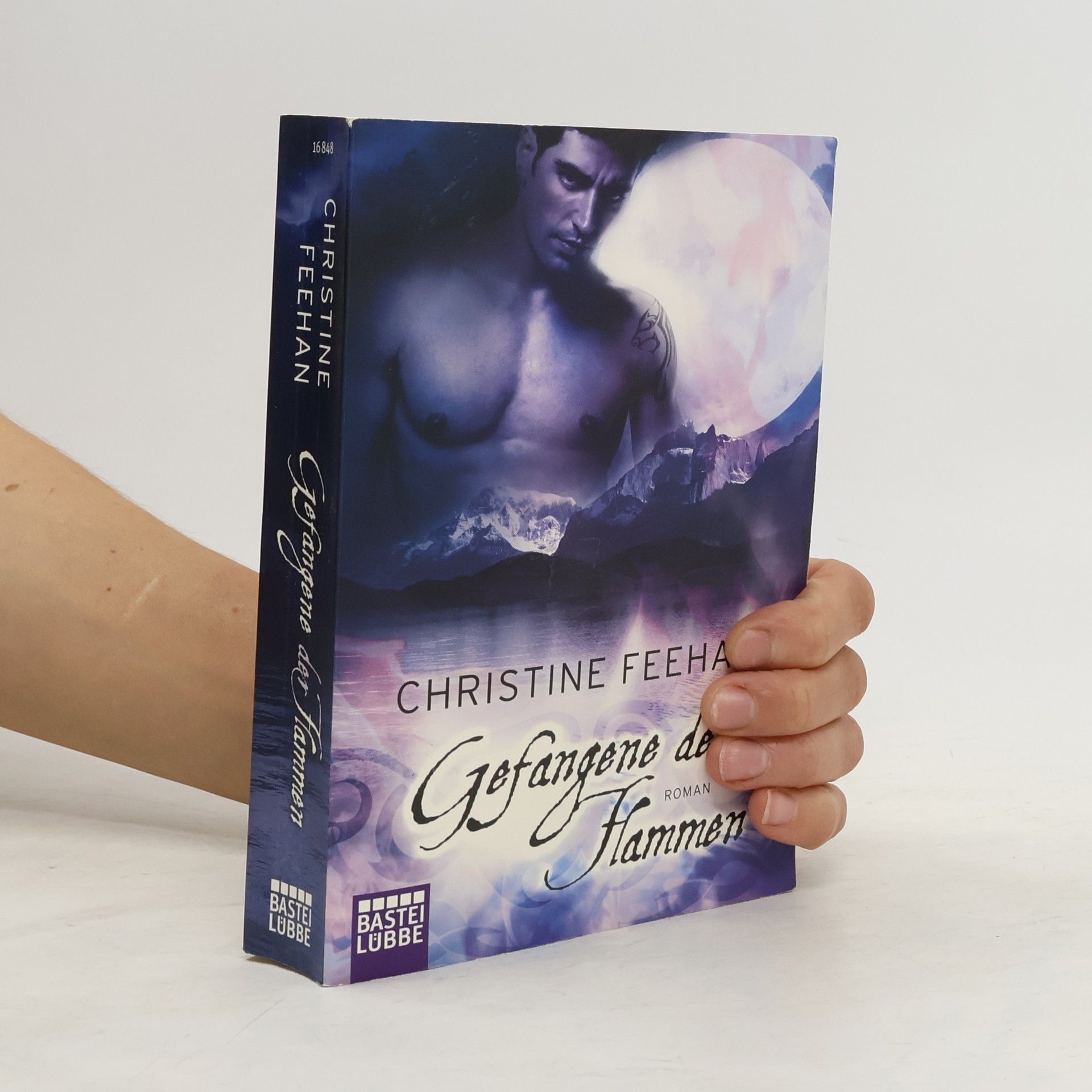 Christine Feehan Gefangene der Flammen