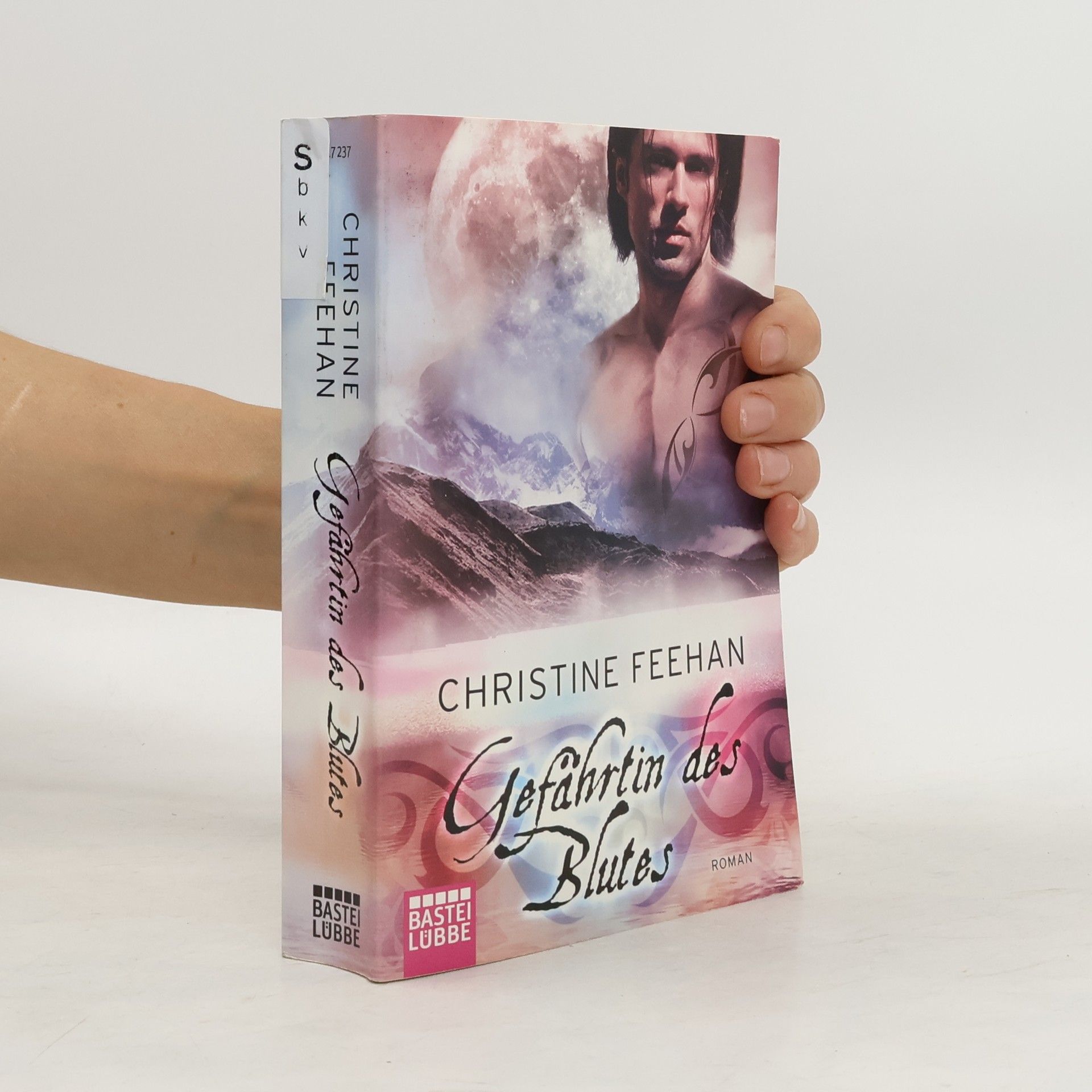 Christine Feehan Gefährtin des Blutes