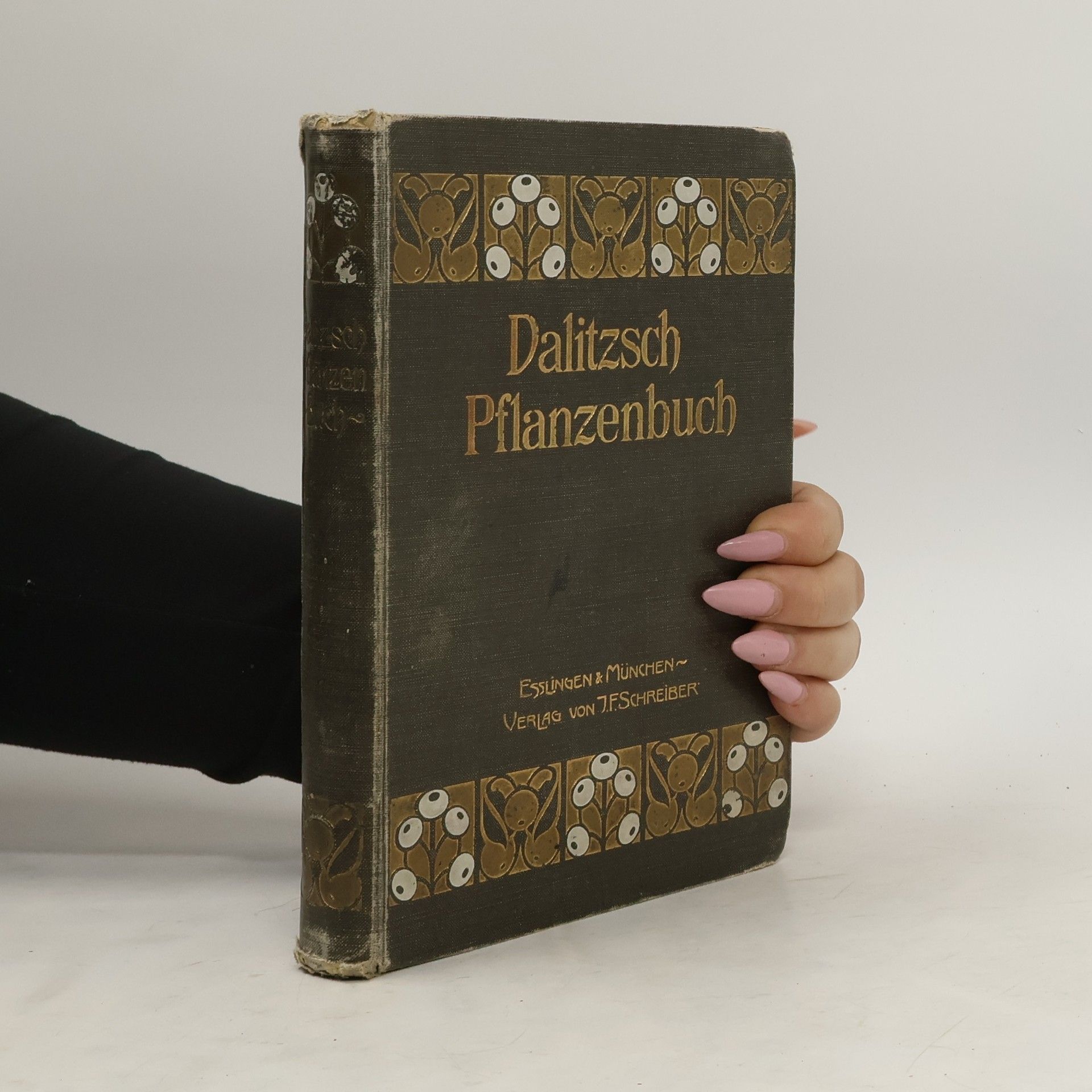 Max Dalitzsch Pflanzenbuch