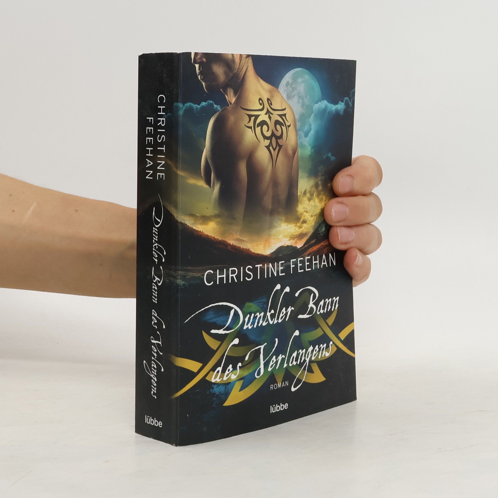 Christine Feehan Dunkler Bann des Verlangens
