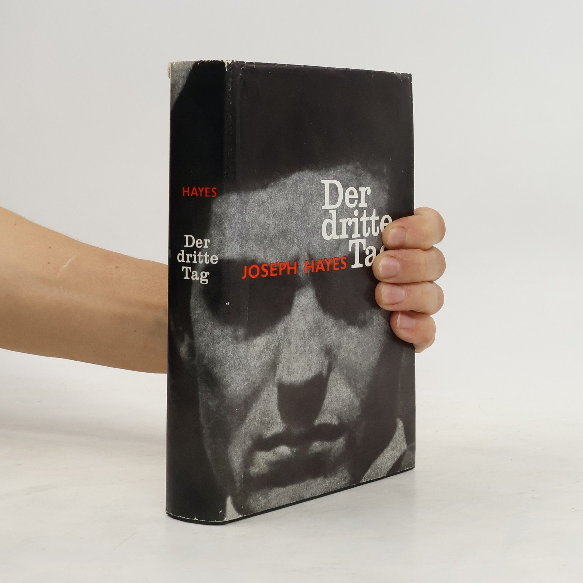 Joseph Hayes Der dritte Tag
