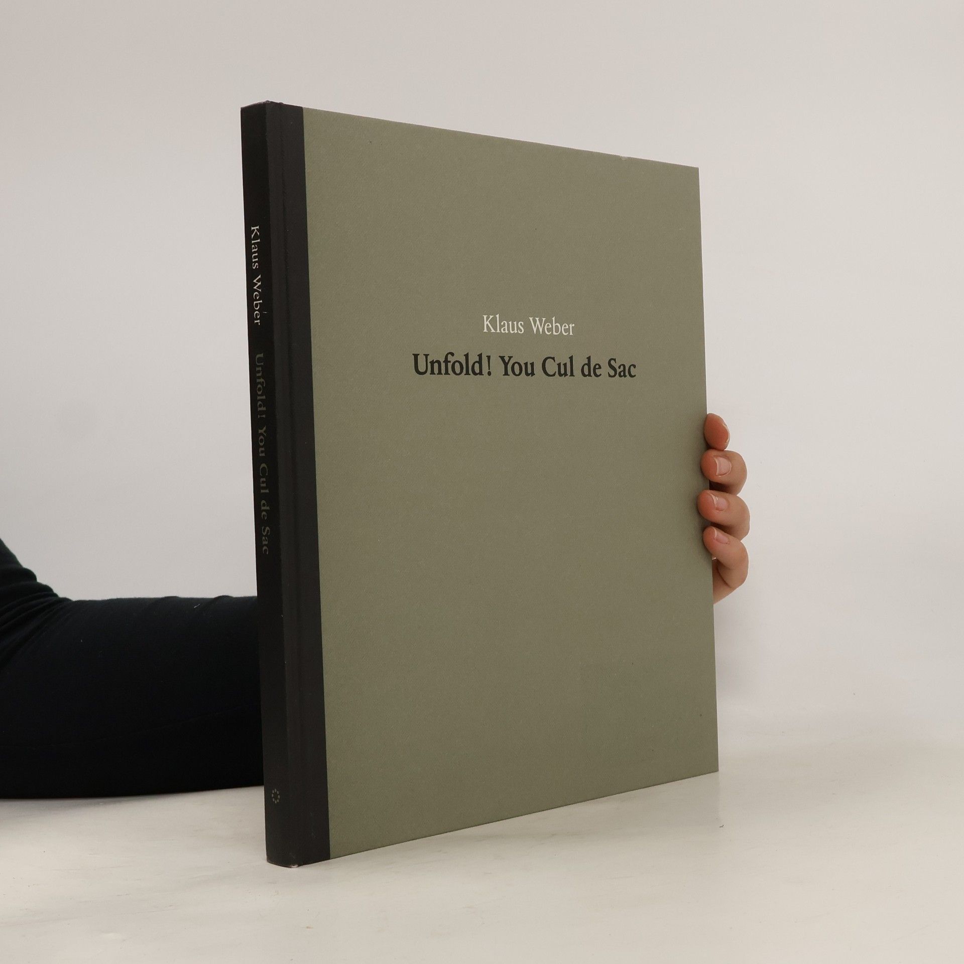 Klaus Weber Unfold! You cul de sac