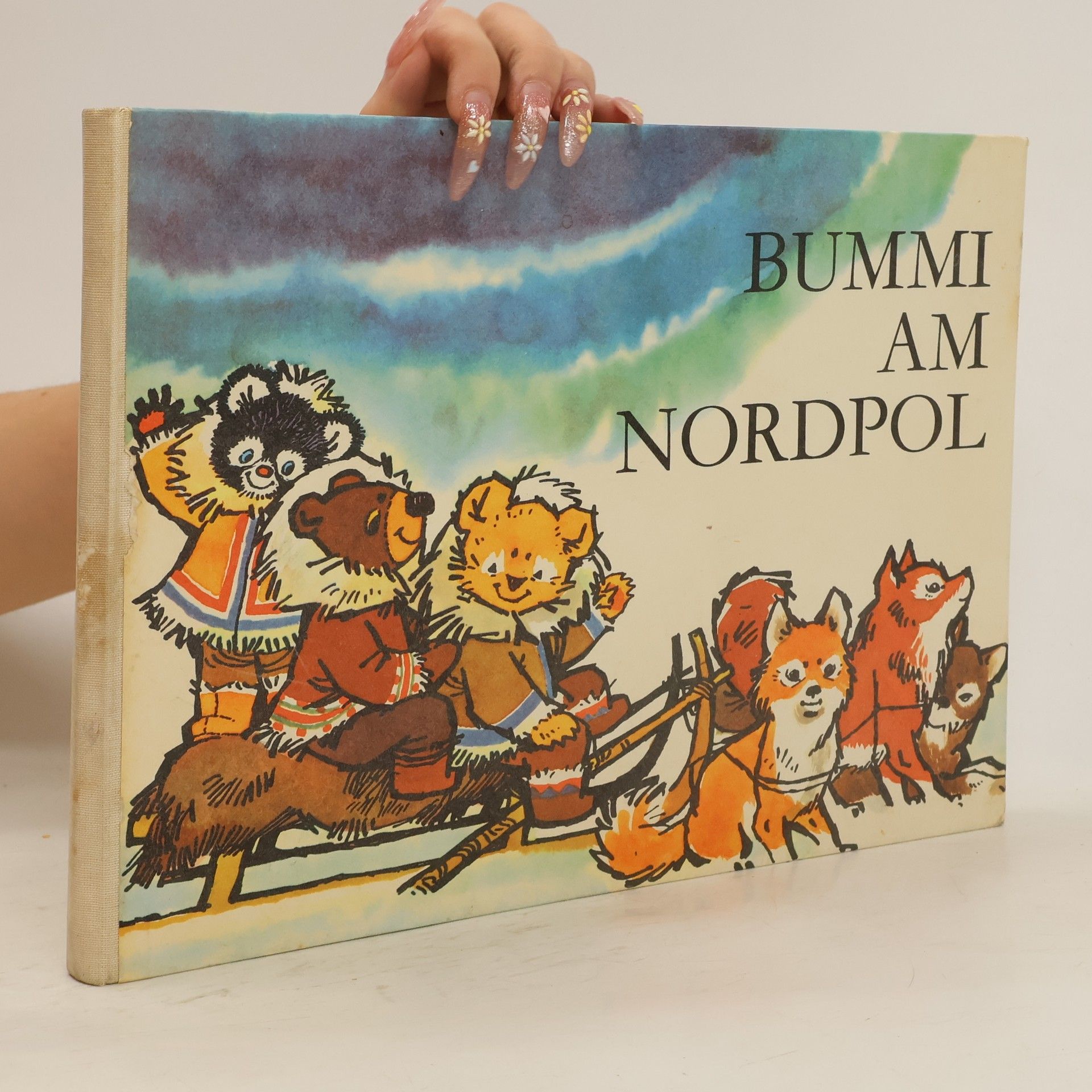 Autores varios Bummi am Nordpol