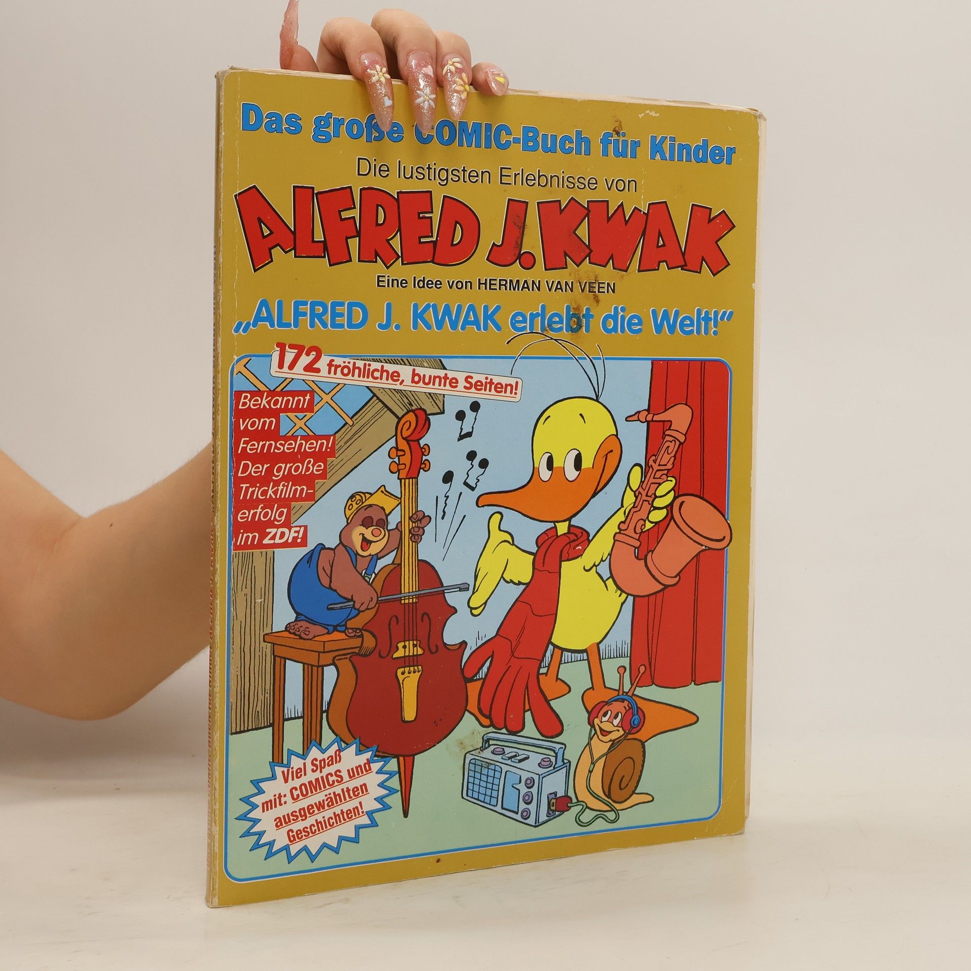 Das große Comic-Buch für Kinder. Die lustigen Erlebnisse