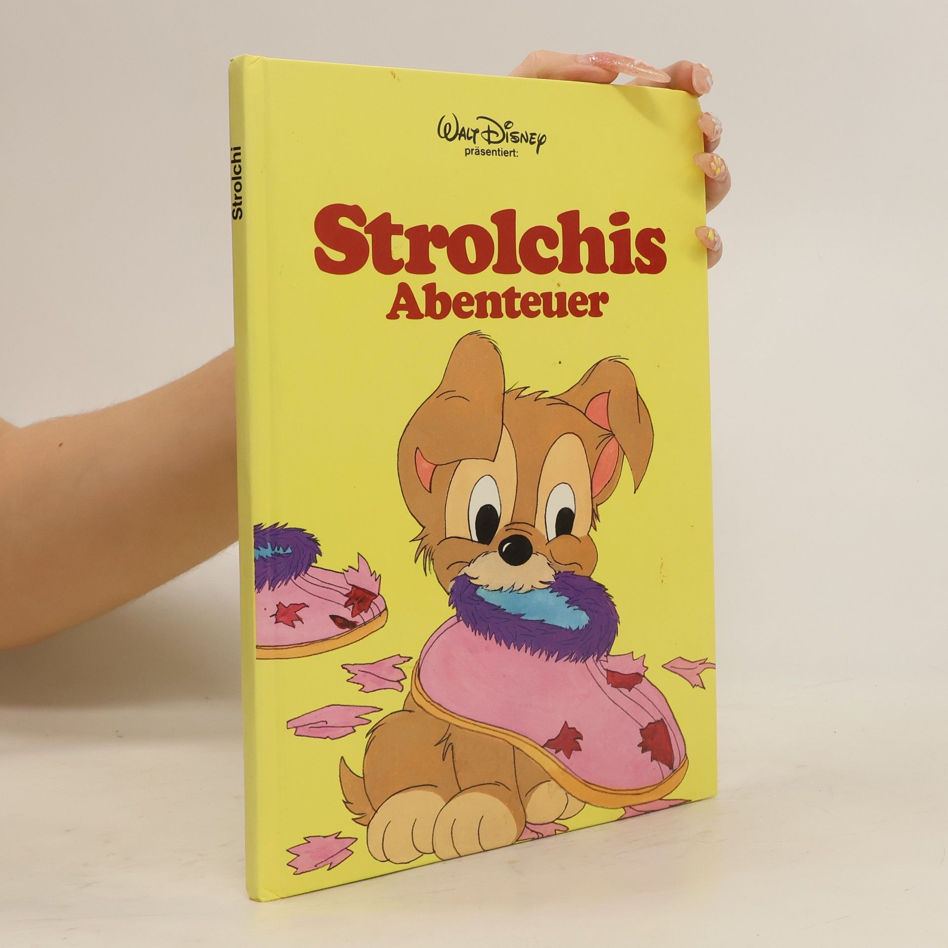 kolektiv Strolchis Abenteuer