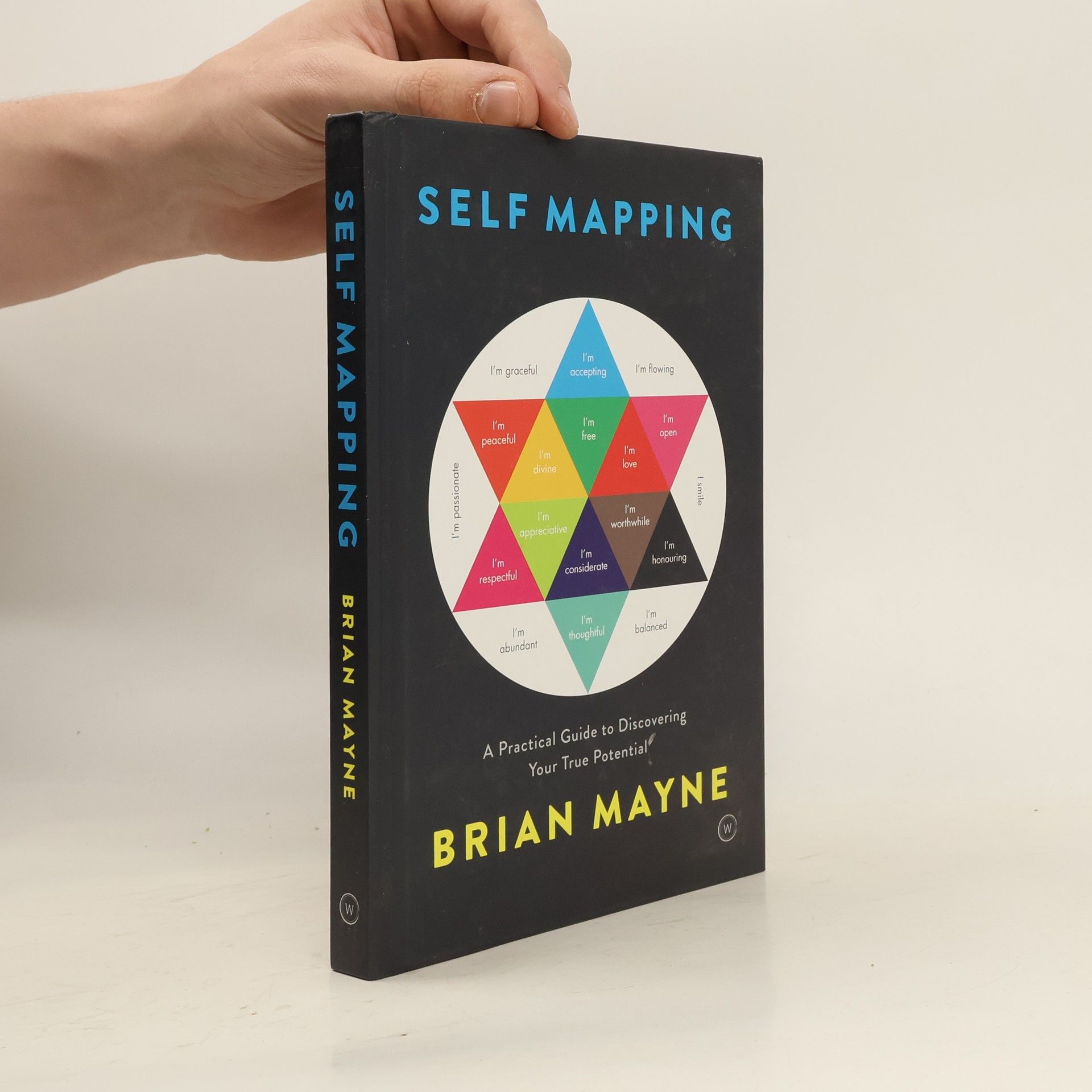 Brian Mayne Self Mapping: A Practical Guide to Discovering Your True Potential