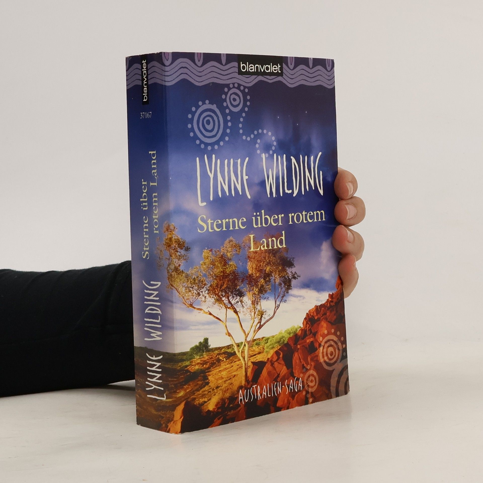 Lynne Wilding Sterne über rotem Land