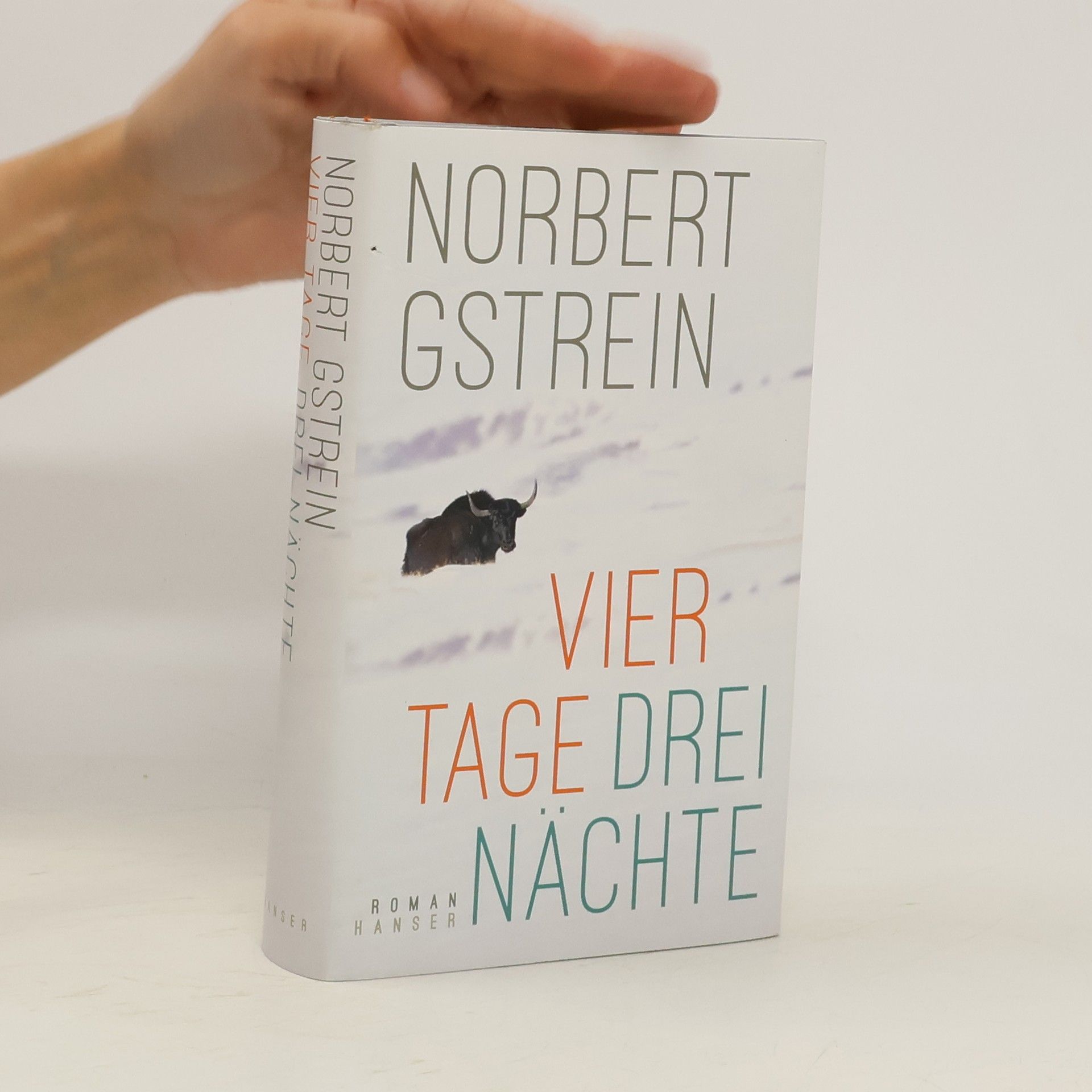 Norbert Gstrein Vier Tage, drei Nächte