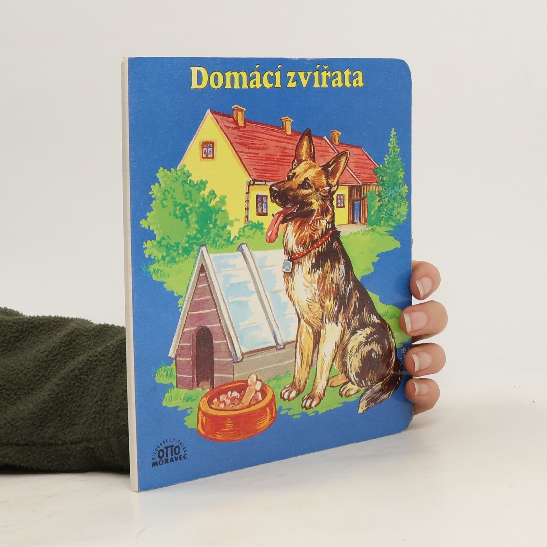 J. Vašíčková Domácí zvířata