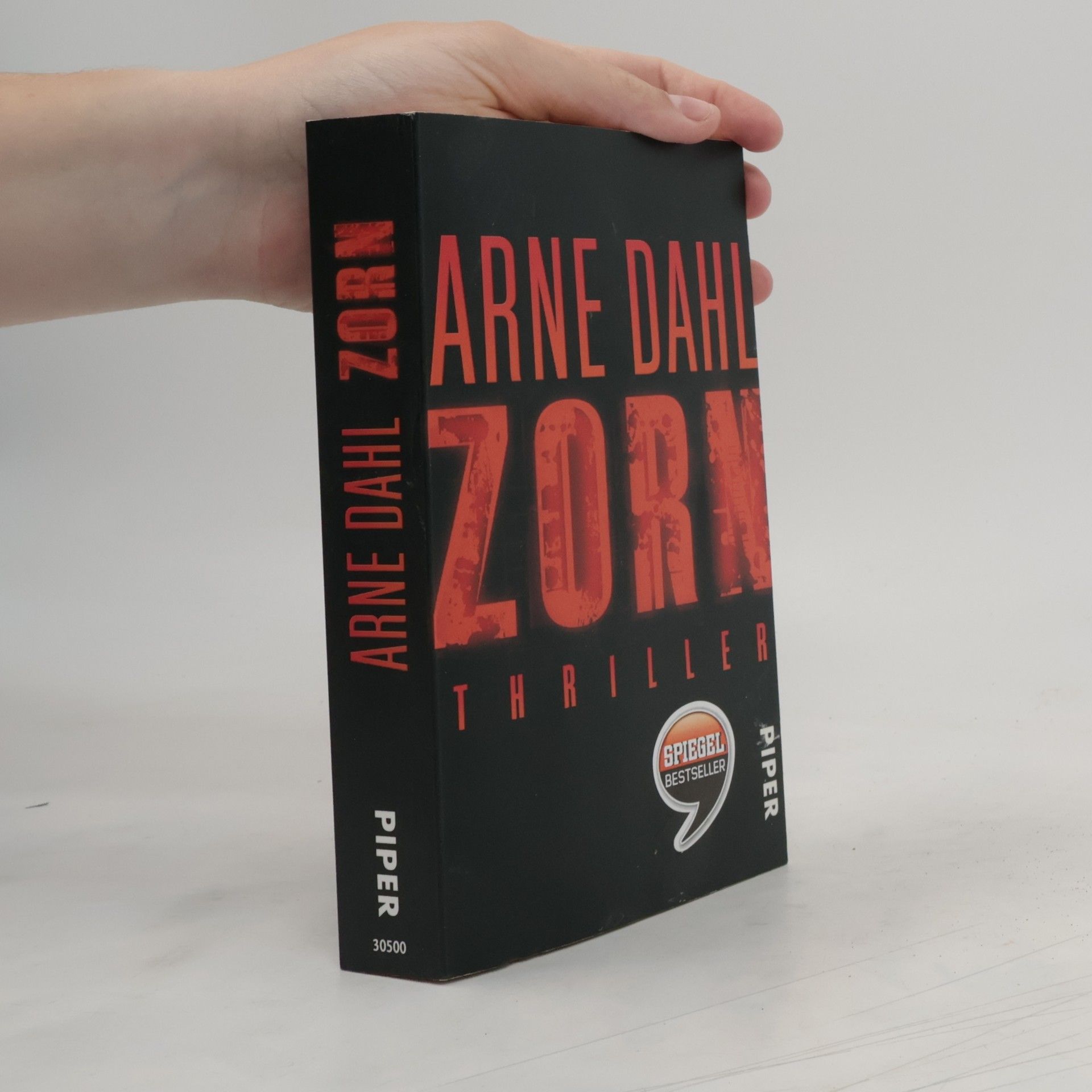 Jan Arnald Zorn: thriller