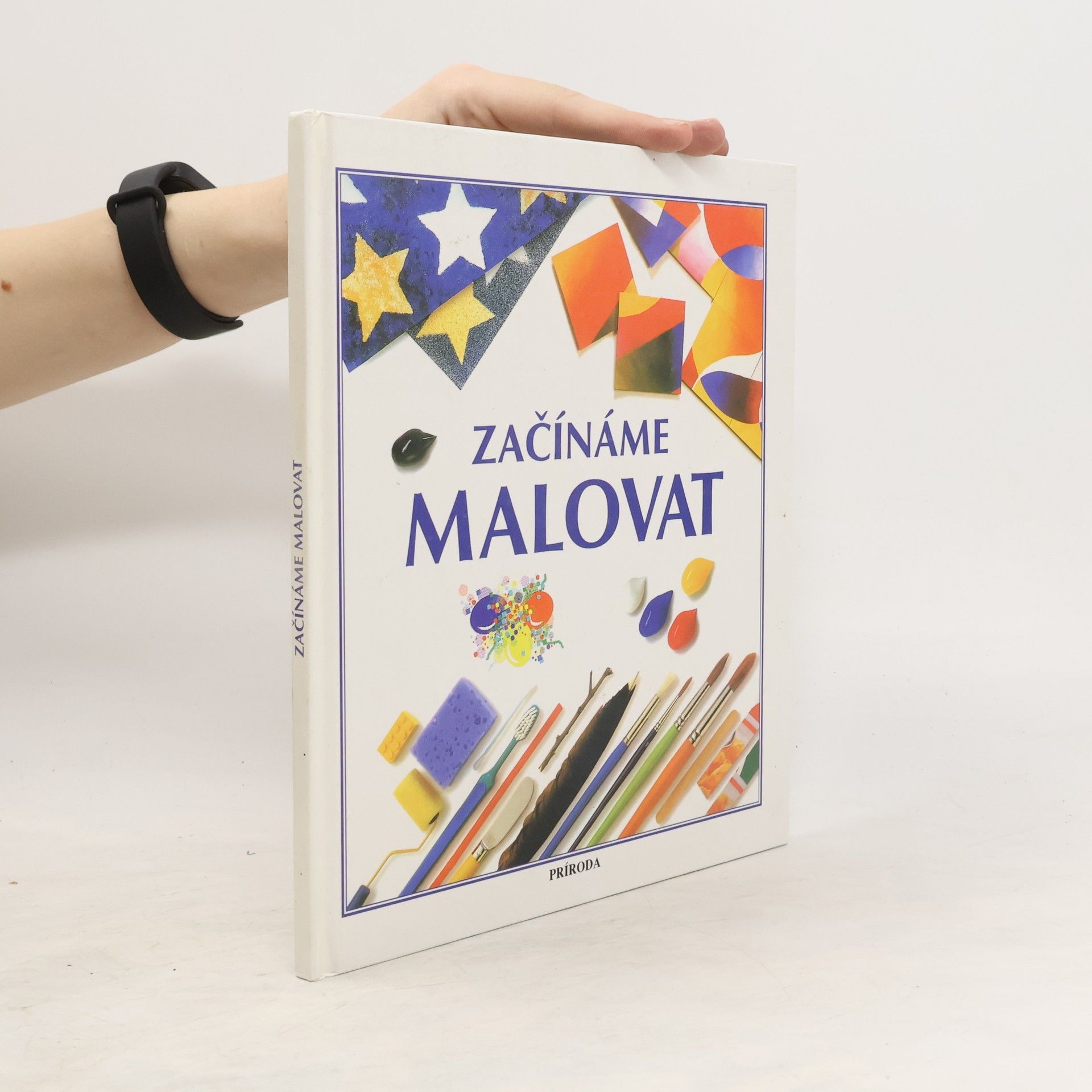 Susan Mayes Začínáme malovat
