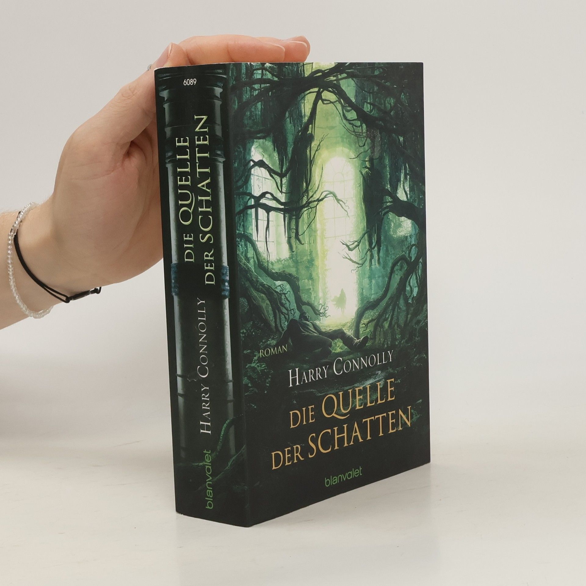 Harry Connolly Die Quelle der Schatten