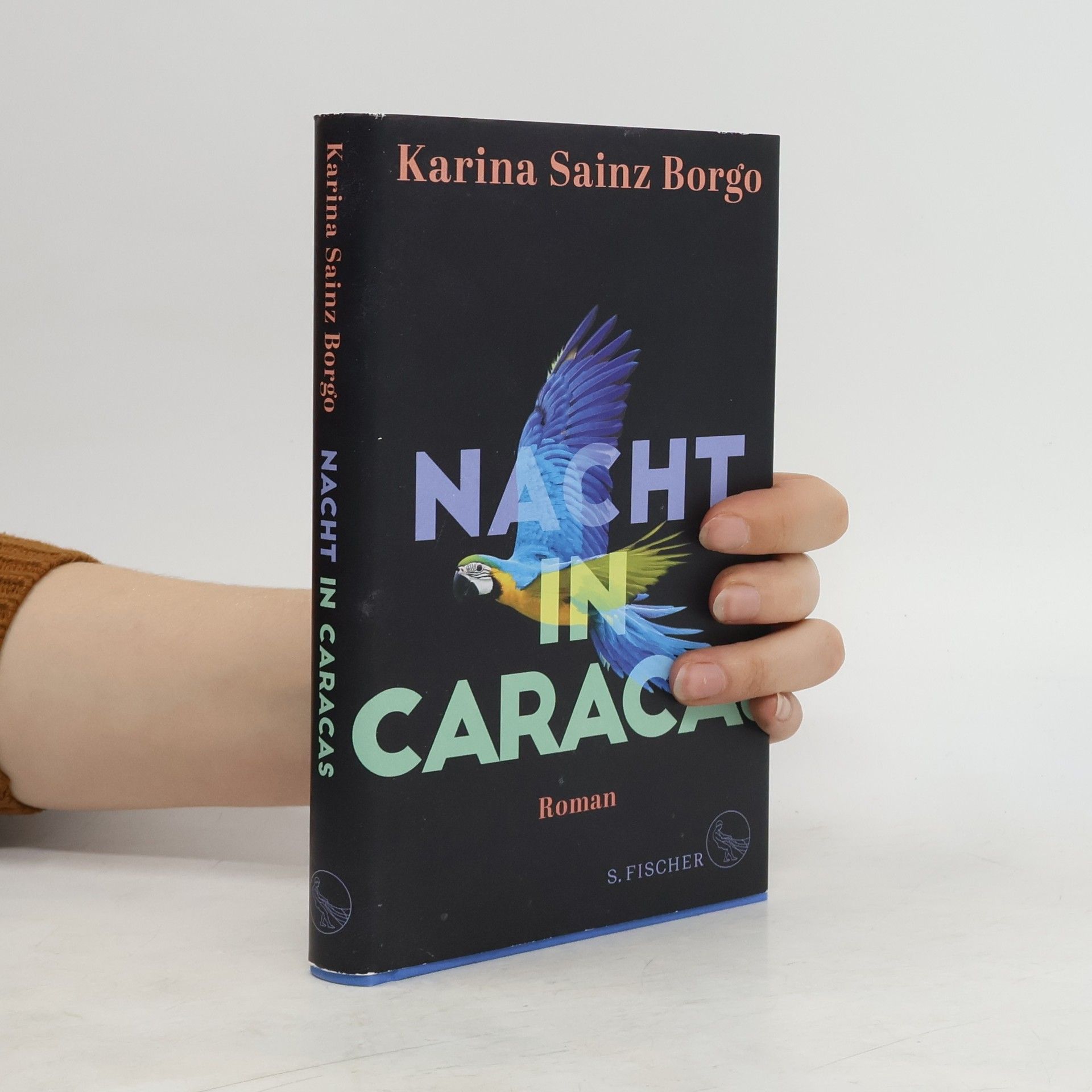Karina Sainz Borgo Nacht in Caracas
