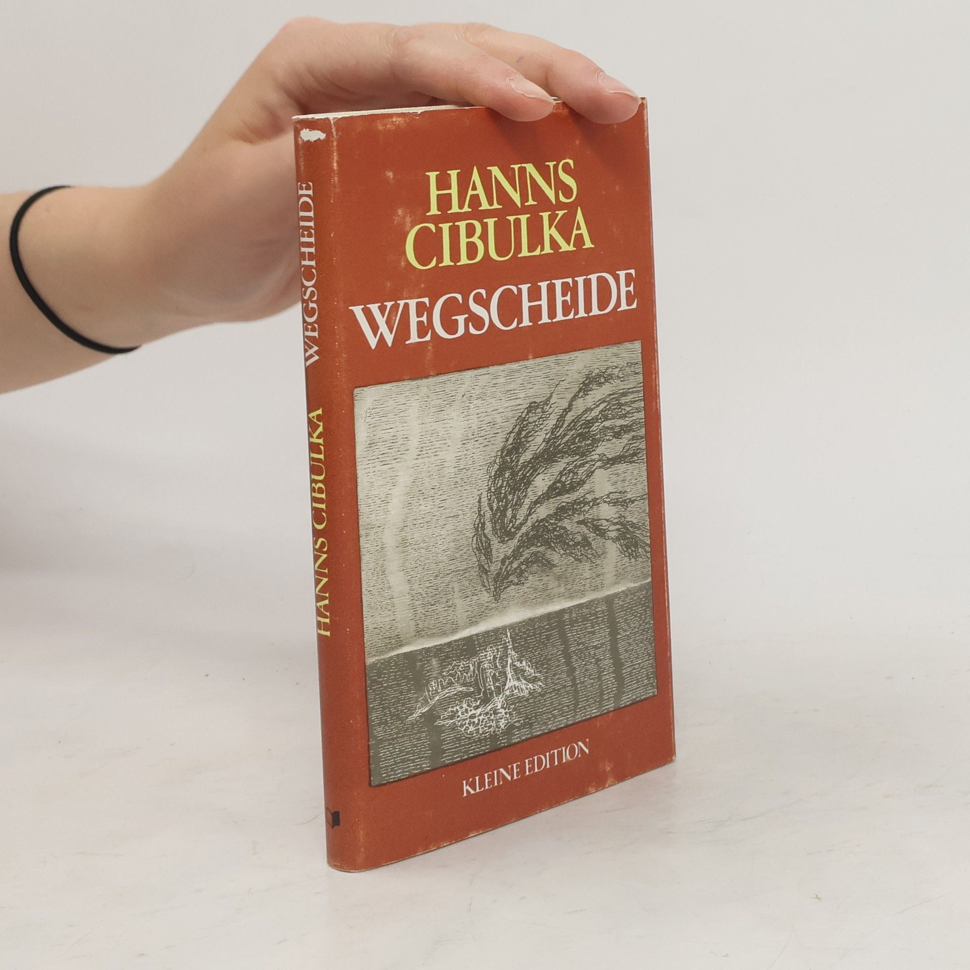 Hanns Cibulka Wegscheide. Tagebucherzählung