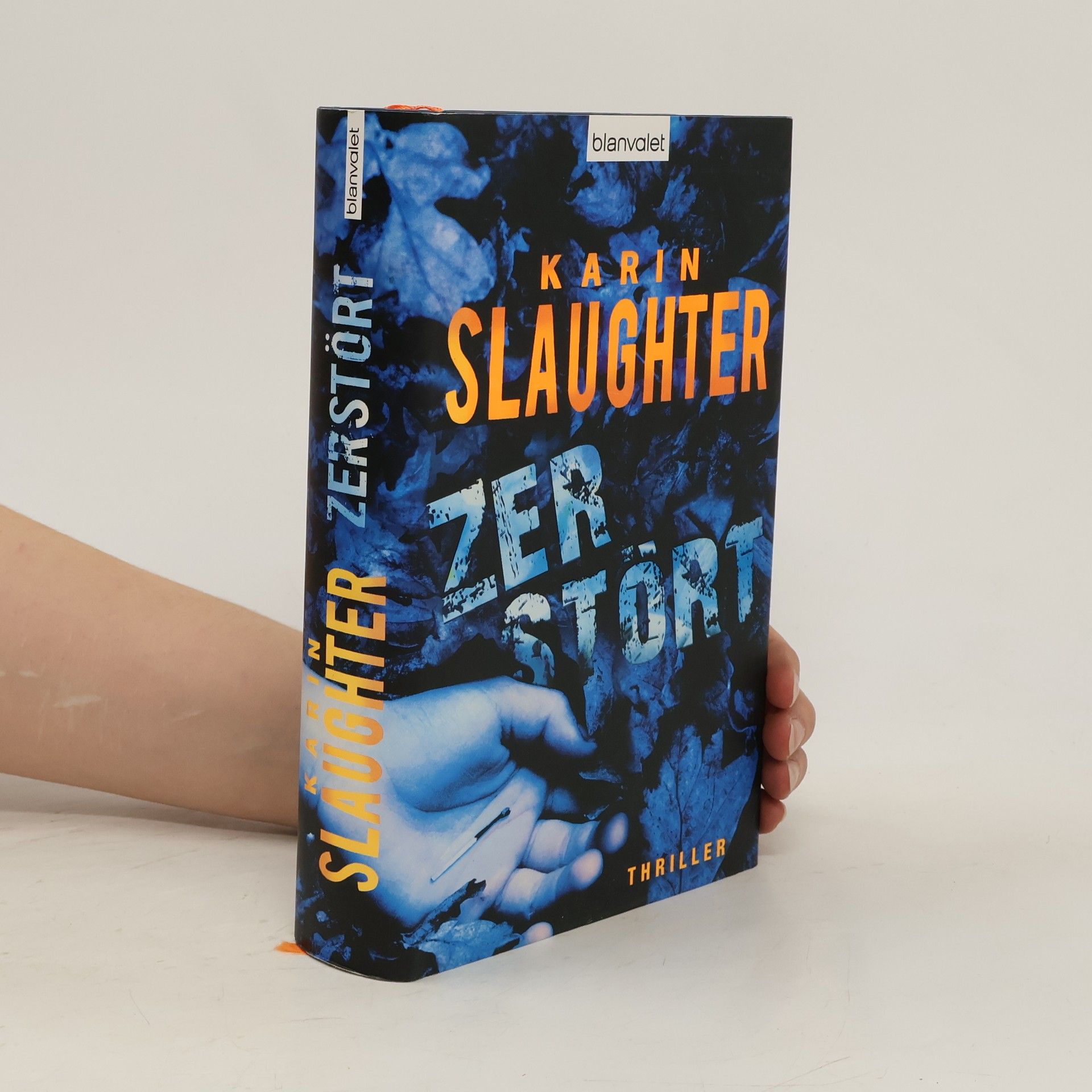 Karin Slaughter Zerstört