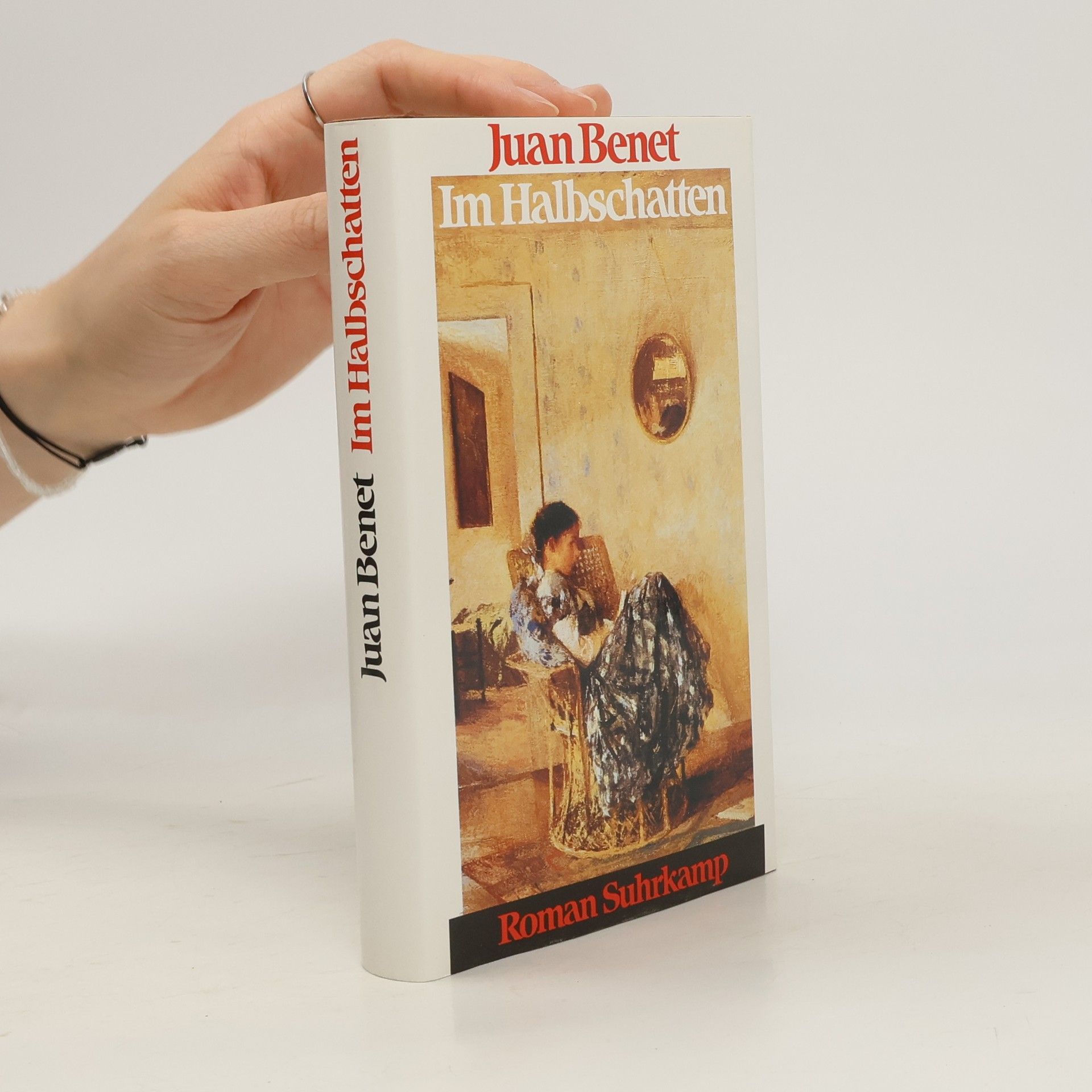 Juan Benet Im Halbschatten. Roman