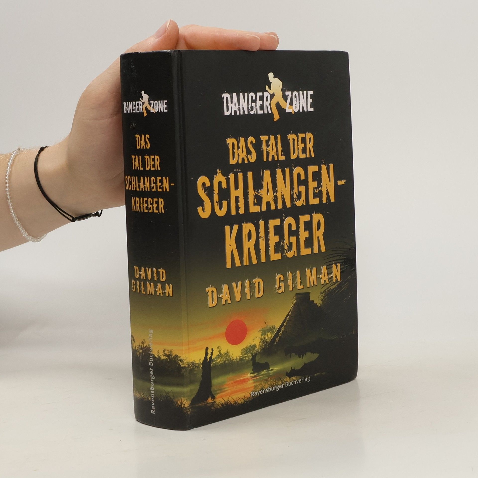 David Gilman Danger Zone - Das Tal der Schlangenkrieger. Band 3