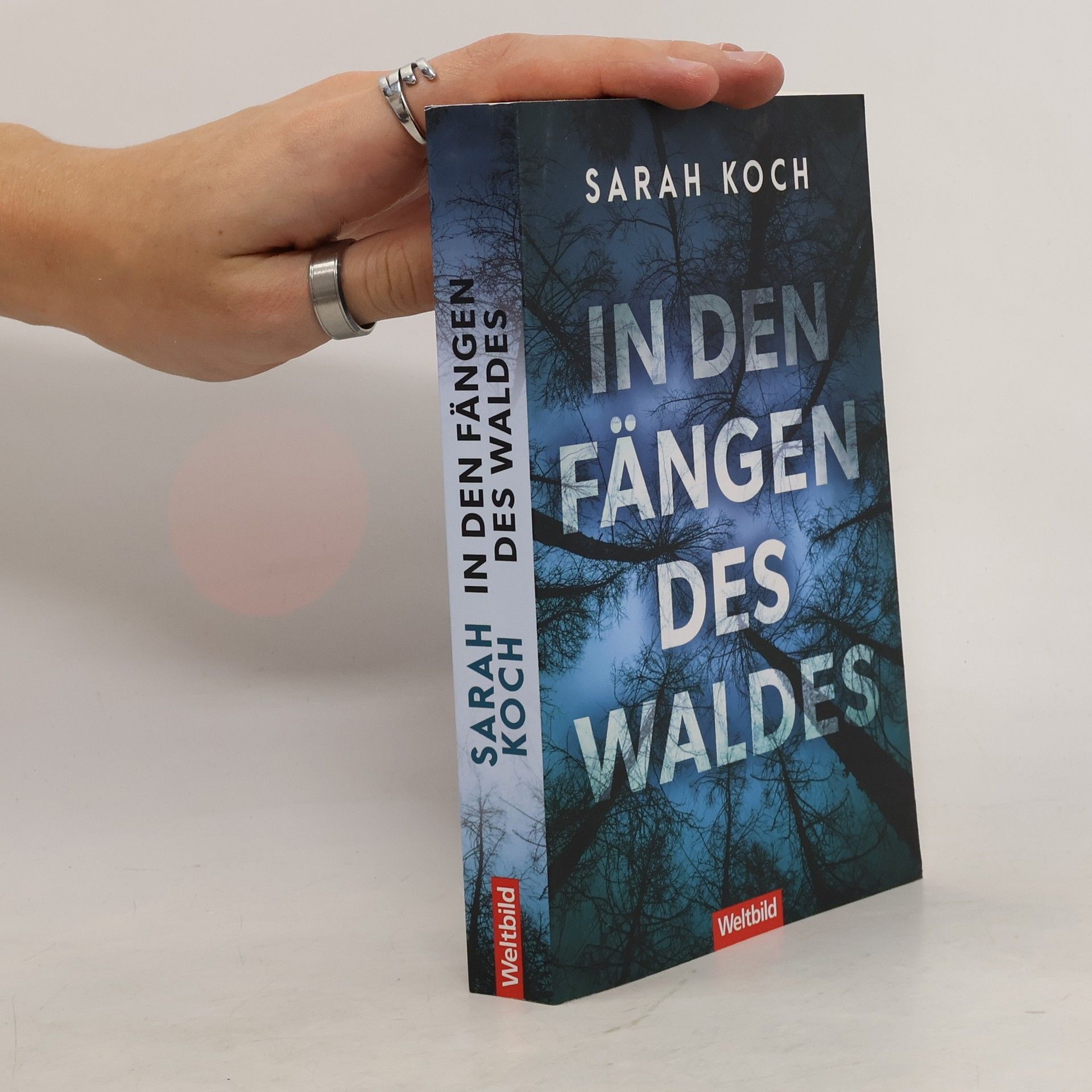 Sarah Koch In den Fängen des Waldes