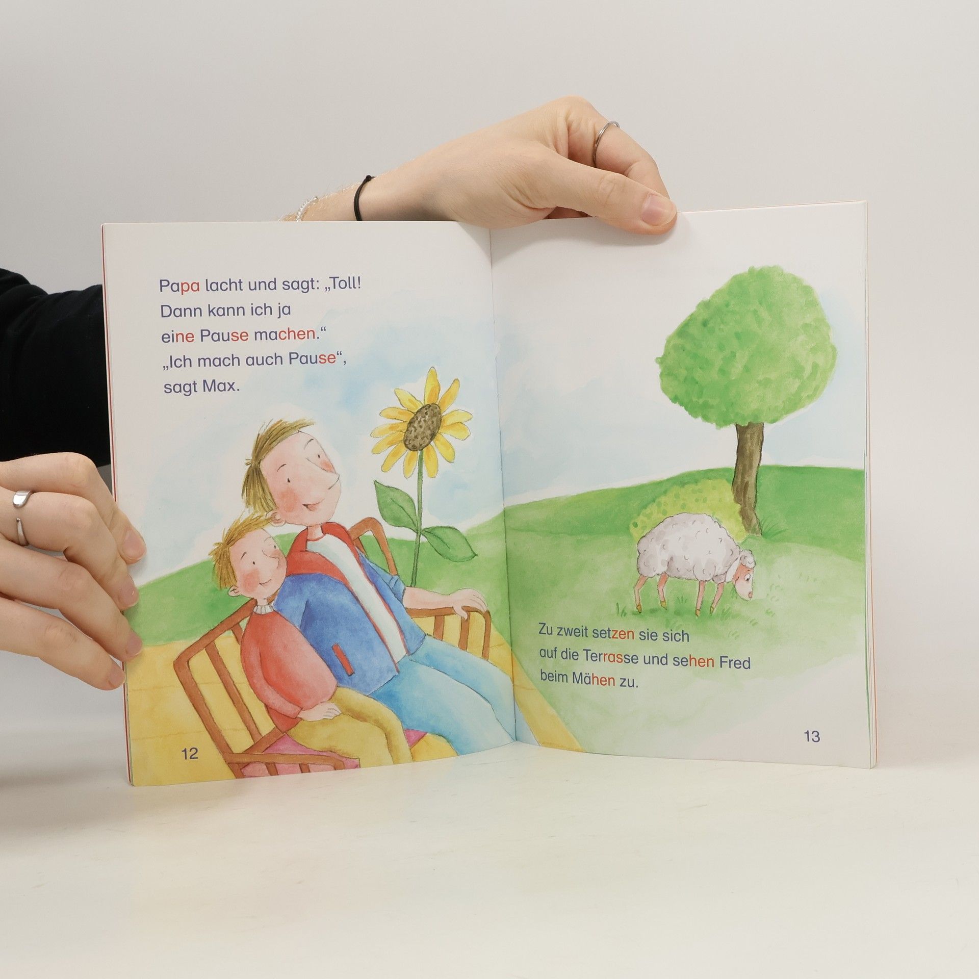 Henriette Wich Der Piratenhund und andere Tiergeschichten